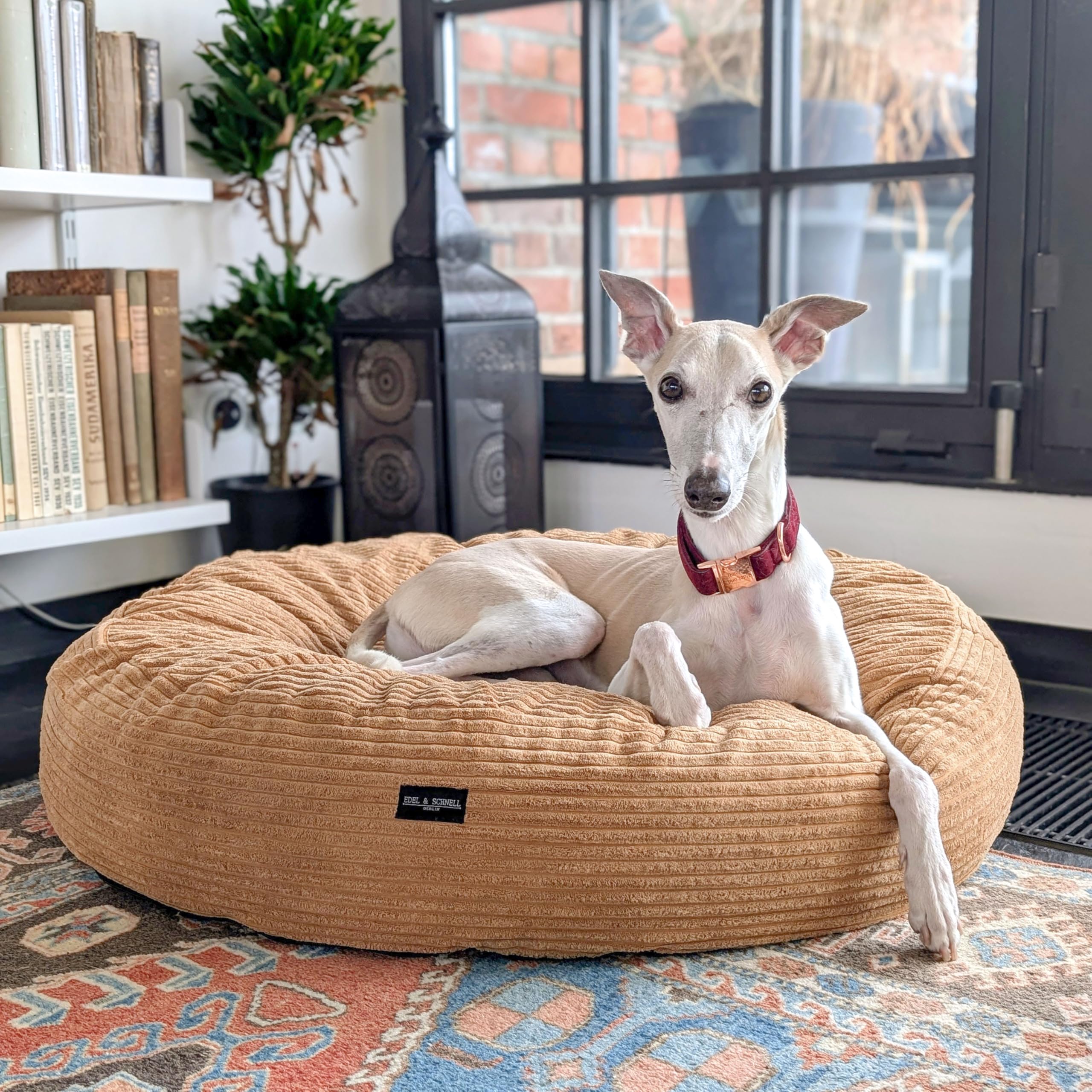 EDEL&SCHNELL orthopädisches Hundebett handgefertigt rund in der Farbe Sand mit robuster Cord Oberfläche, Whippet Greyhound Galgo Hundebett waschbar, 125 cm Durchmesser