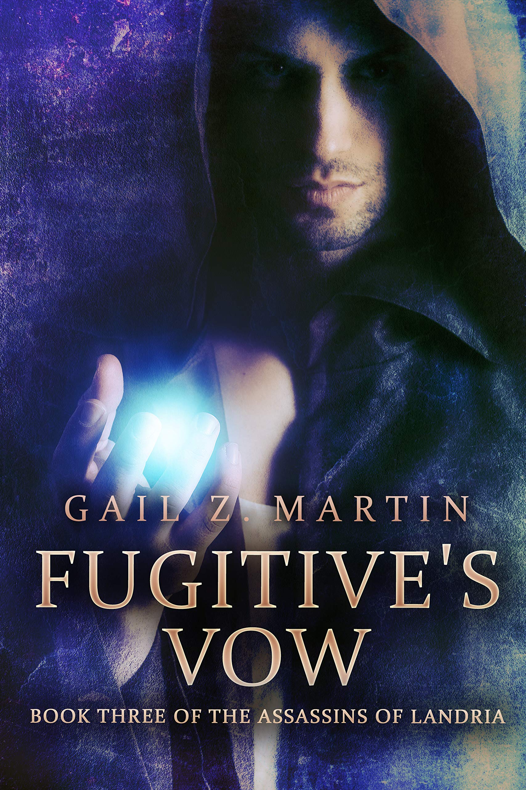 Fugitive's Vow (Assassins of Landria)