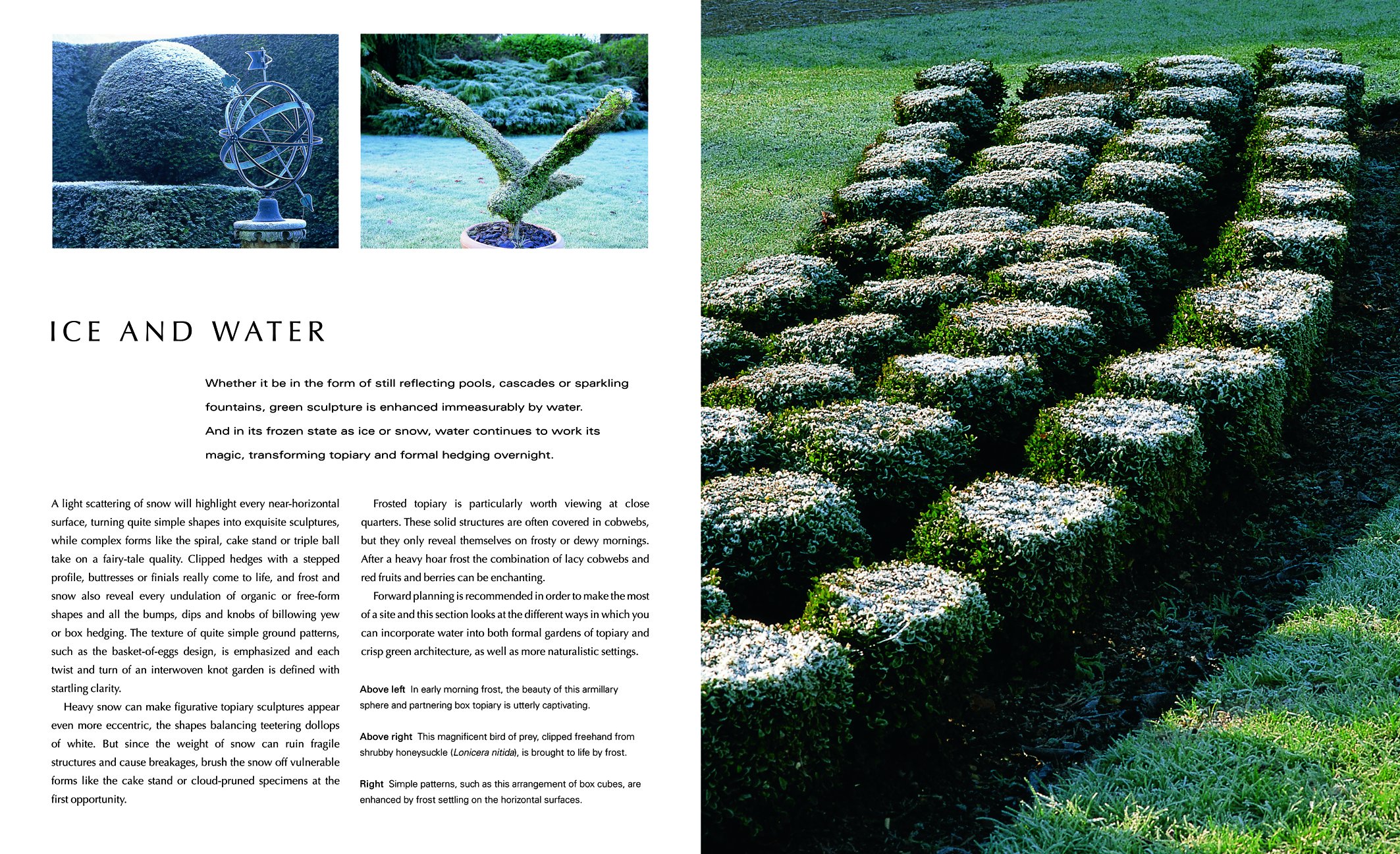A Gardener's Guide to Topiary: The Art Of Clipping, Training And Shaping Plants