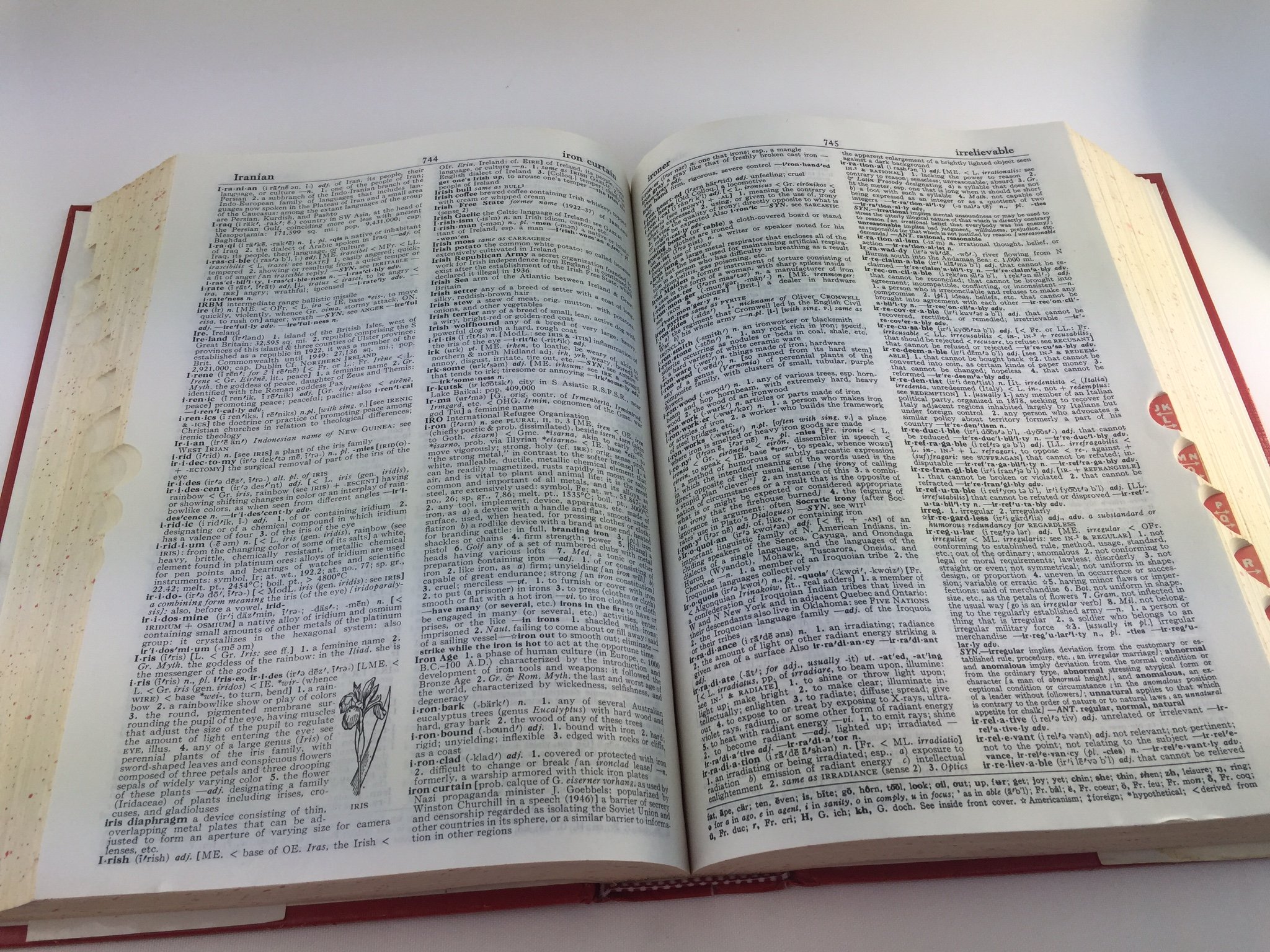 Webster's New World Dictionary and Thesaurus, 2nd Edition - Image 7