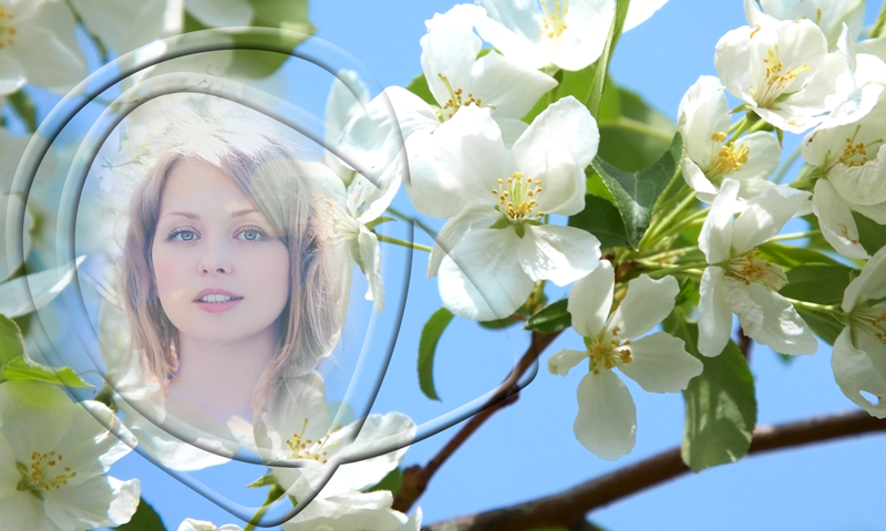 Spring Day Photo Frame Spring Photo Frames:Amazon.com:Appstore for Android