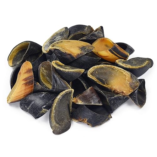 Full-Size Cow Hooves for Dogs (25 Pack) | All-Natural Long Lasting Dog Chews | Made from Grass Fed Cattle | Tasty Treat for Oral Hygiene | Fantastic Alternative for Rawhide and Bully Sticks - 25 Count (Pack of 1)