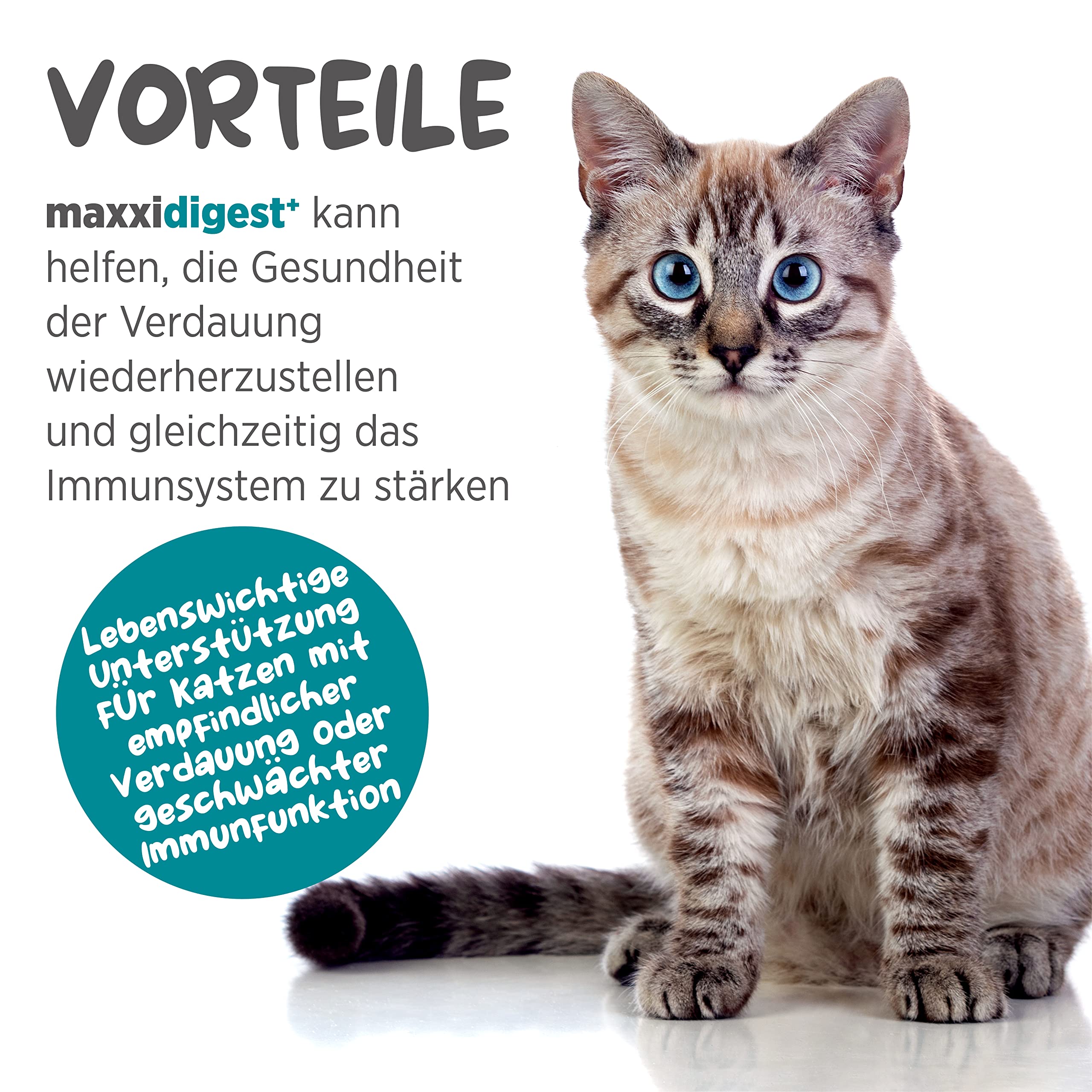 maxxipaws maxxidigest+ Probiotische & präbiotische Pulverergänzung - Verdauungs- und Immununterstützung für Katzen, 200g