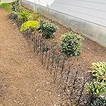 Review Image by C. Williams C. Williams