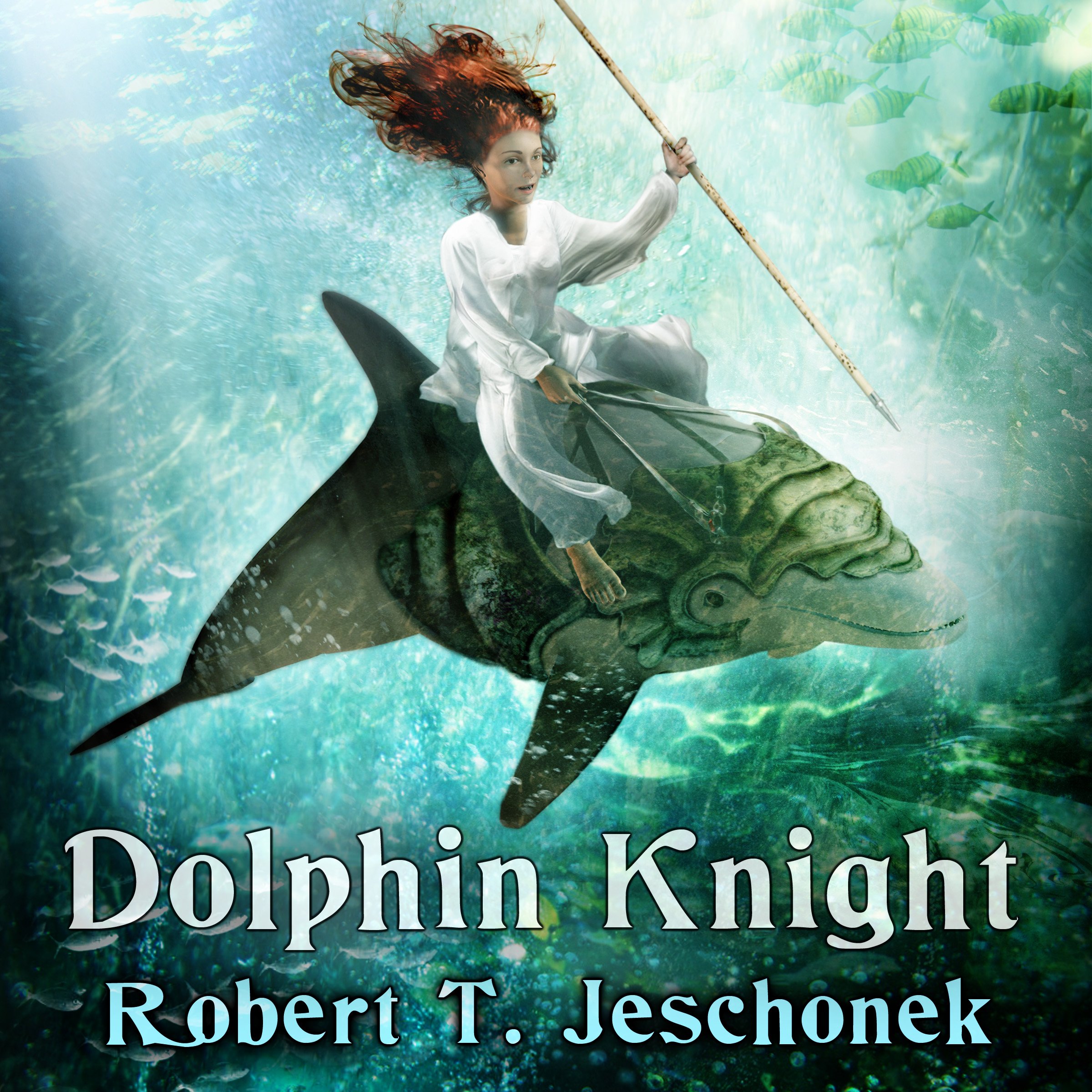Cover art for Dolphin Knight