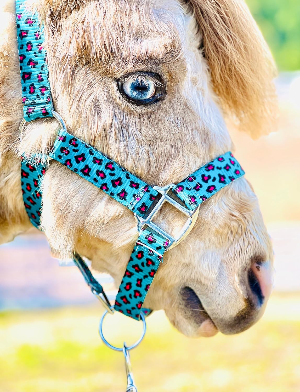 Star Point Horsemanship Rainbow Cheetah Halter