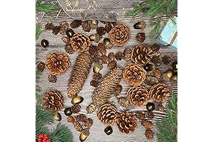 72Pcs Natural Pinecone Acorns Set Pine Cones