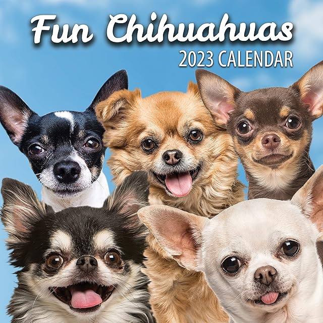 Fun Chihuahuas Dog Wall Calendar 2023 - Large Family Planner & Daily Organiser with Monthly Chihuahua Image - Dog Lover Gift, Christmas Stocking Filler & Slim Design 2023 Wall Planner