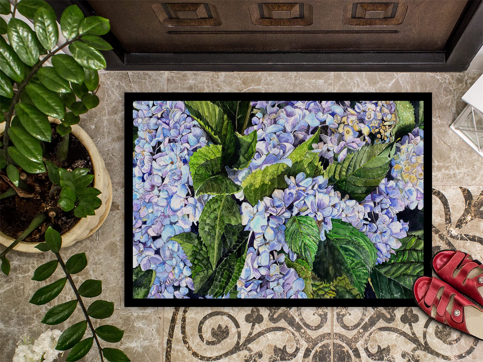 Amazon｜Caroline 's Treasures Hydrangea屋内または屋外ドアマット