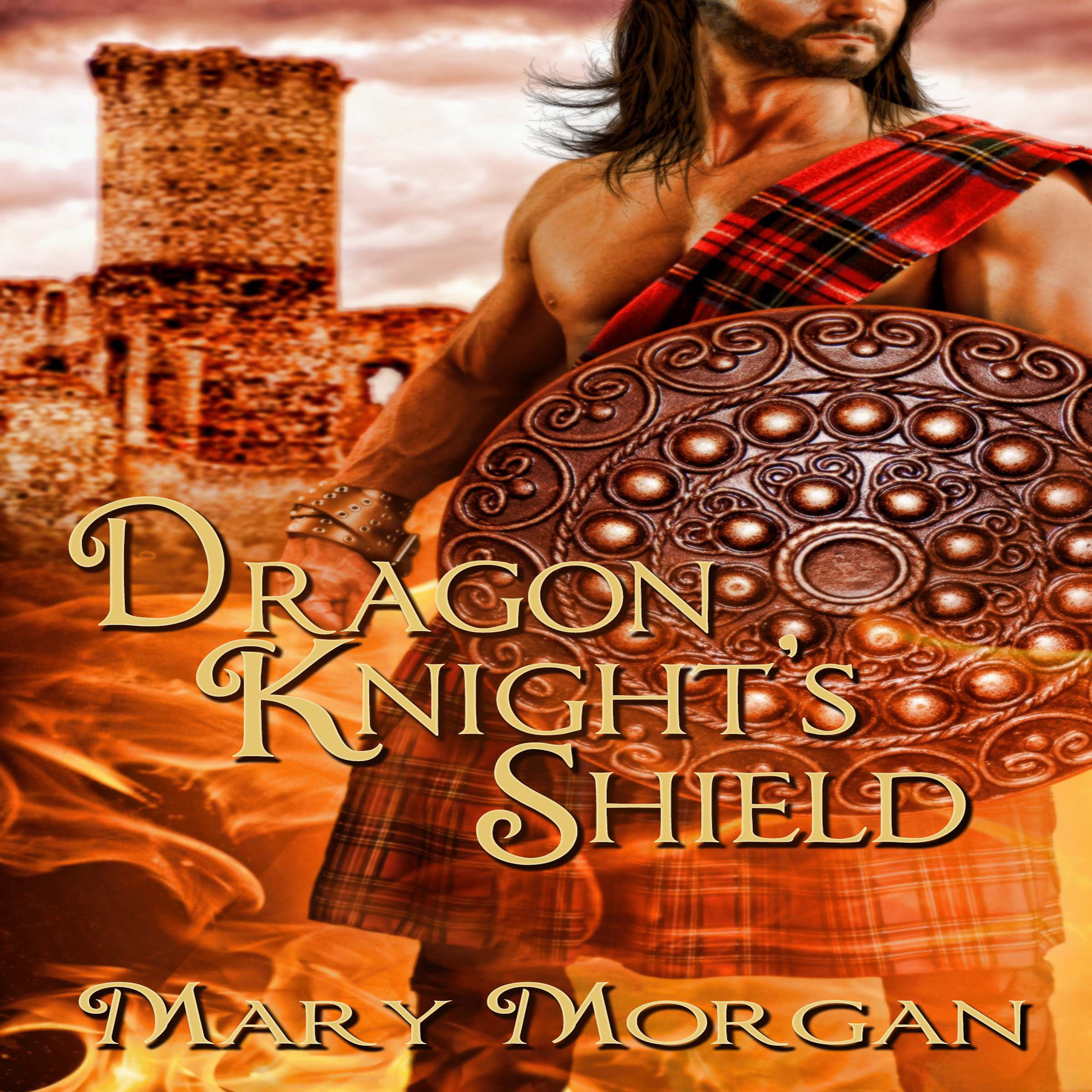 Cover art for Dragon Knight's Shield