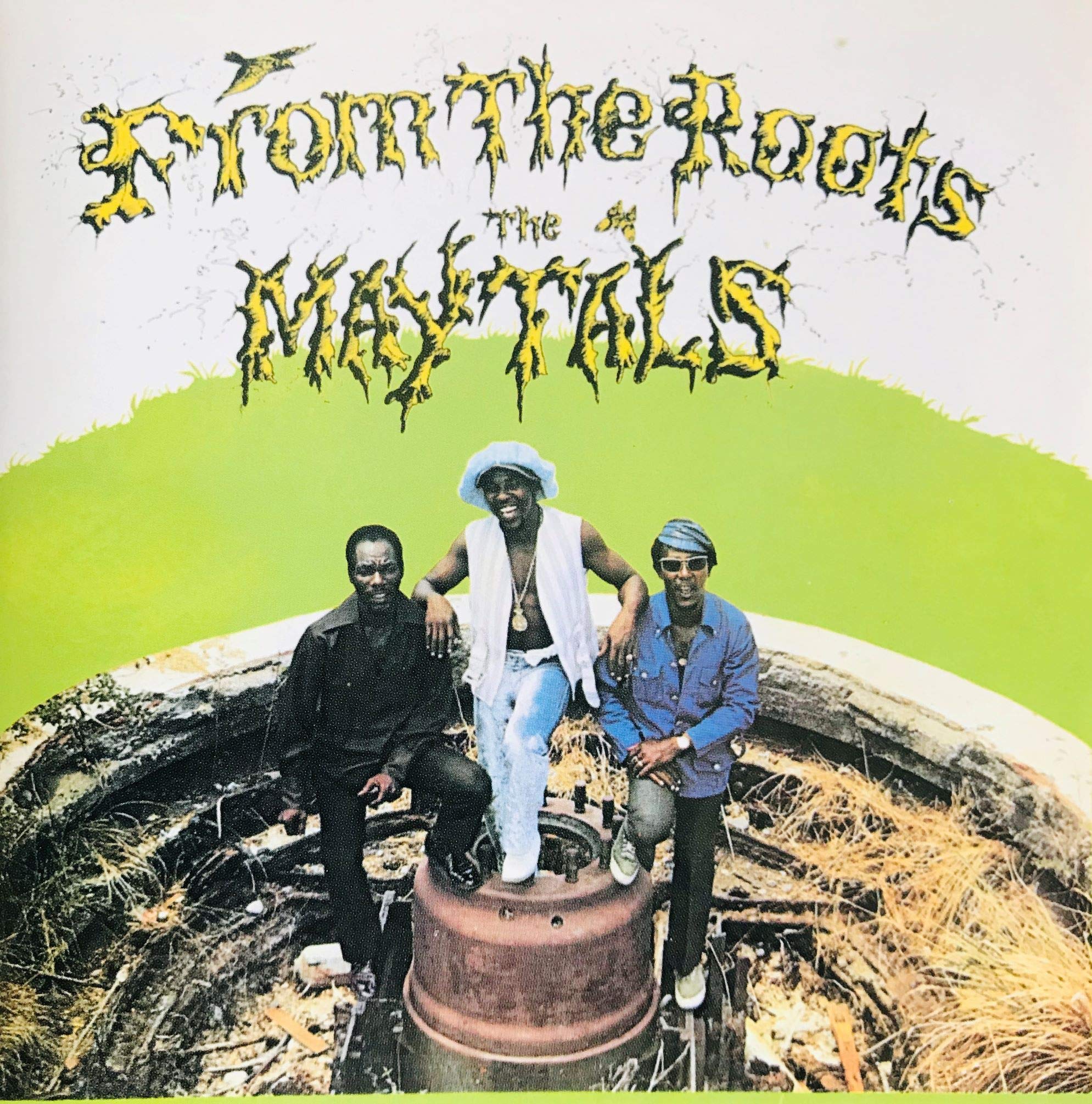 THE MAYTALS - From The Roots - Disque CD