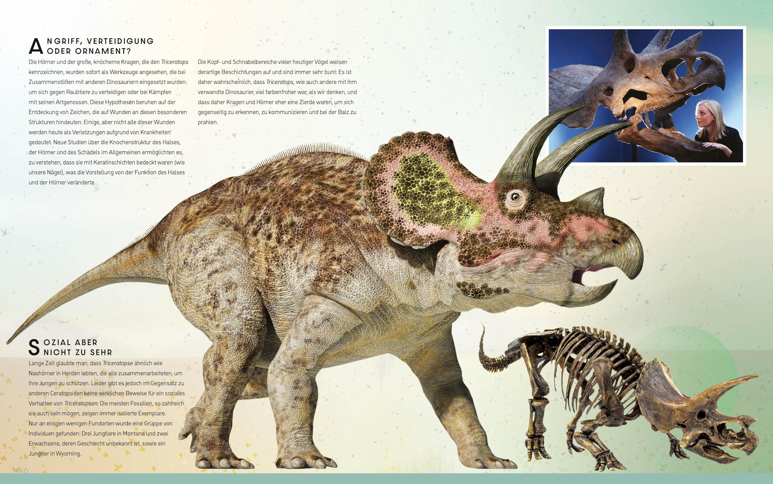 Das ultimative Buch der Dinosaurier. Die umfassendste Enzyklopädie aller Zeiten: National Geographic Kids; für Kinder ab 10 Jahren