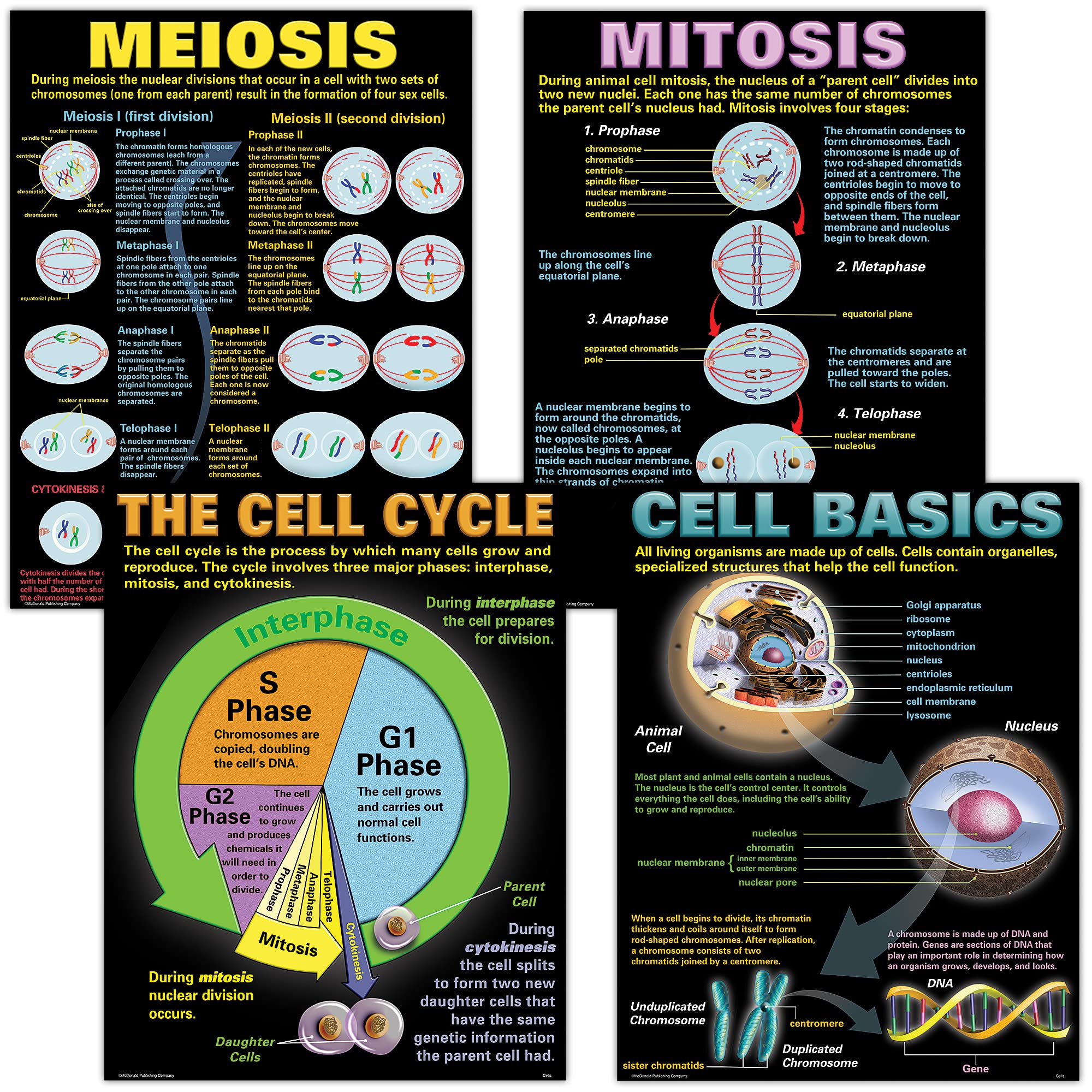 McDonald Publishing Cells Teaching Poster Set (P127), 17 x 22 Inch