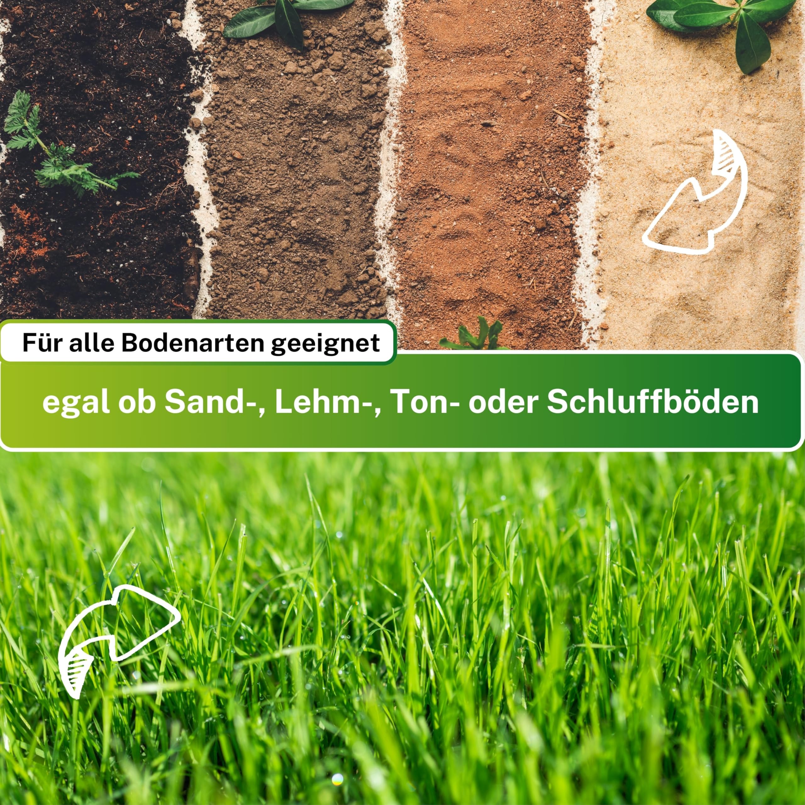 5kg Rasensamen Berliner Tiergarten I Rasensamen schnellkeimend für 200m² I robuster Universalrasen Zierrasen Rasen Nachsaat I Greenyp Grassamen Rasensaat Gras - ideal als Neu- und Nachsaat.