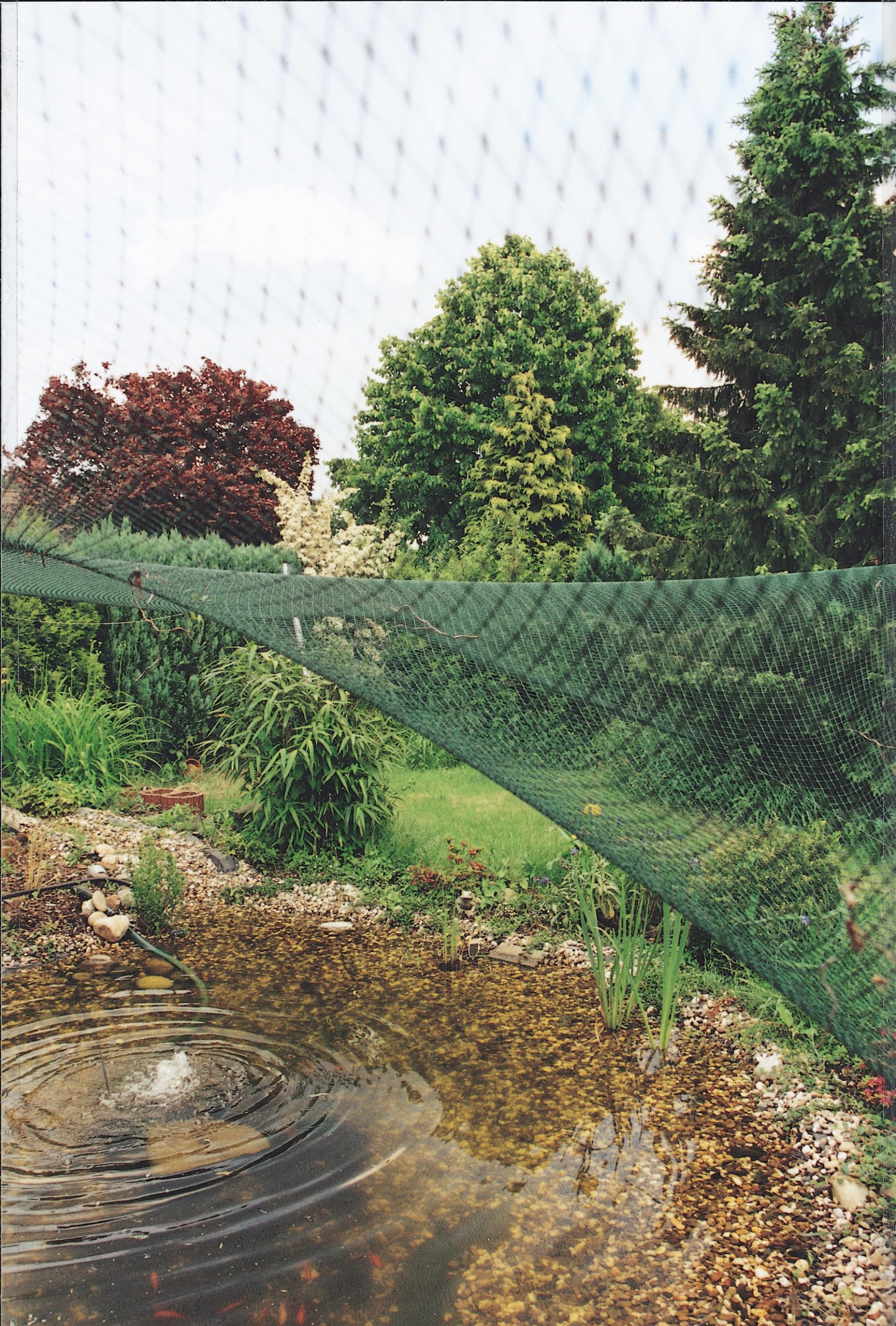 Oase 53752 Aquanet Teichnetz 2 - schützt Teiche vor Blättern und Laub, Verwendung als Vogelschutznetz an Bäumen und Sträuchern, Teichgröße bis max. 4 x 8 m, Grün