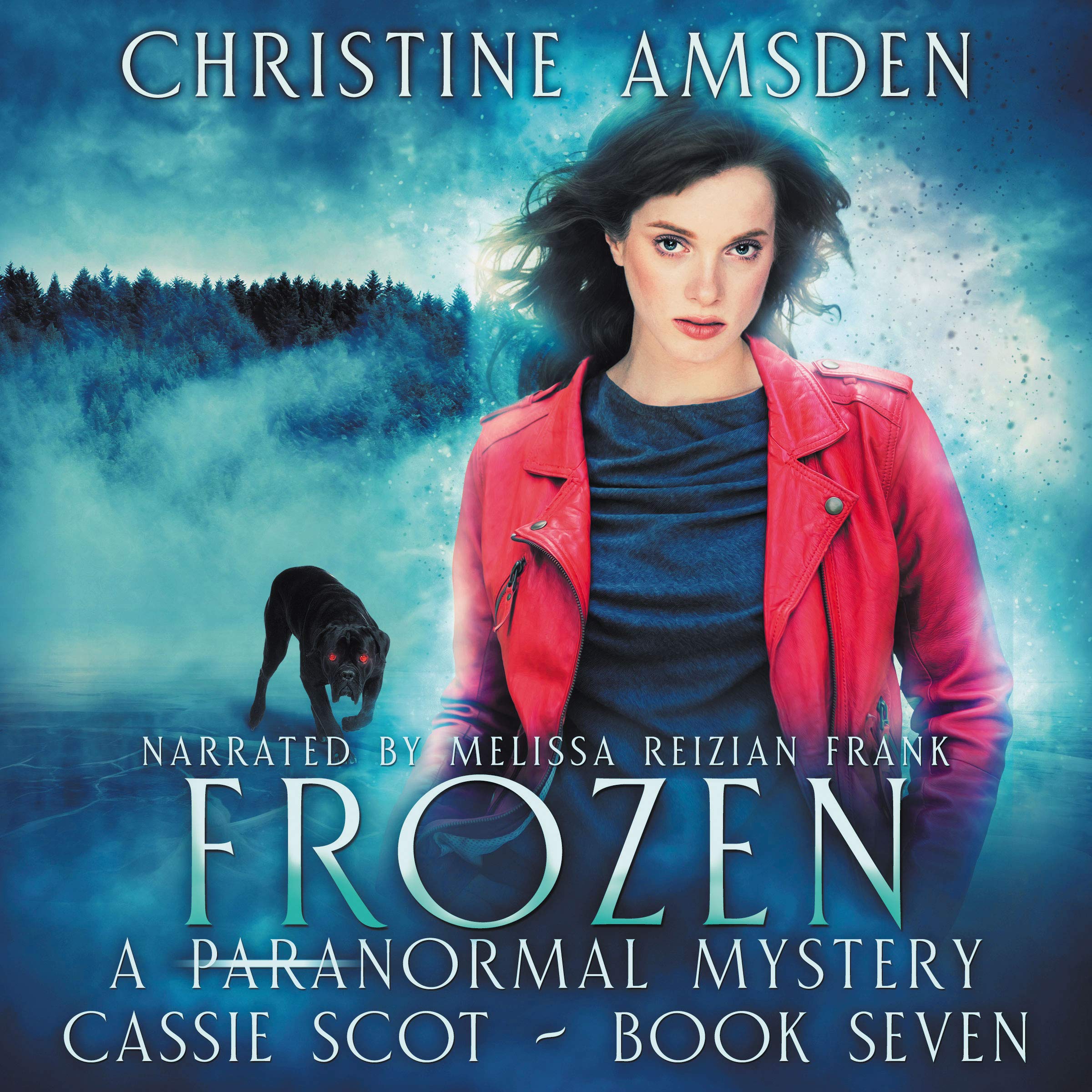 Cover art for Frozen: A ParaNormal Mystery