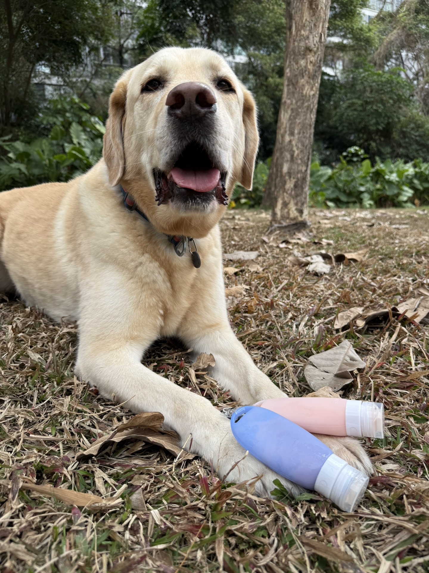 Futtertube Für Hunde 2 Stück - 90ml Silikon Tuben Mit Karabiner