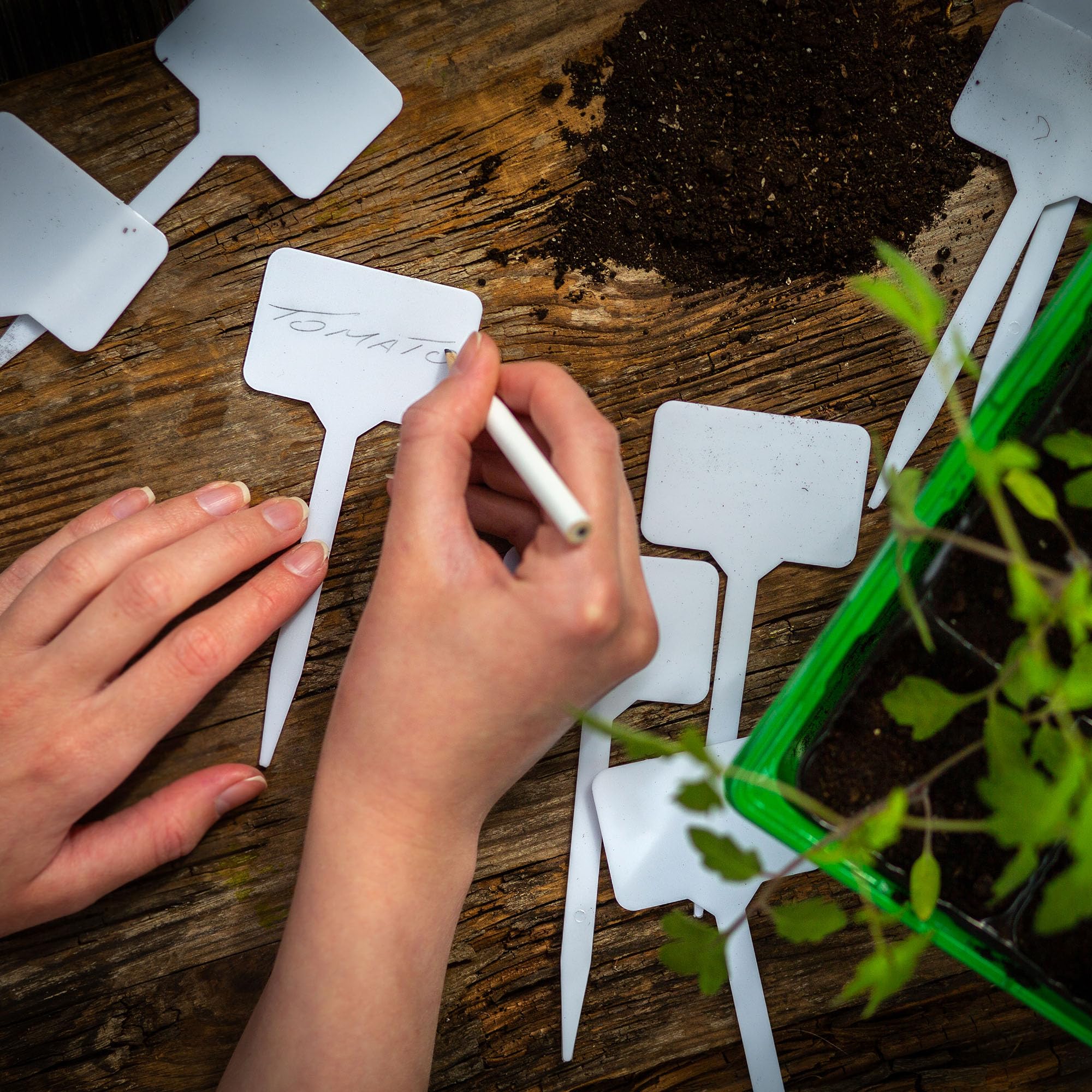 Étiquettes Pour Plantes En Plastique - Lot De 10 - Résistantes Aux Intempéries - Réutilisables - Pour Jardin, Balcon, Serre
