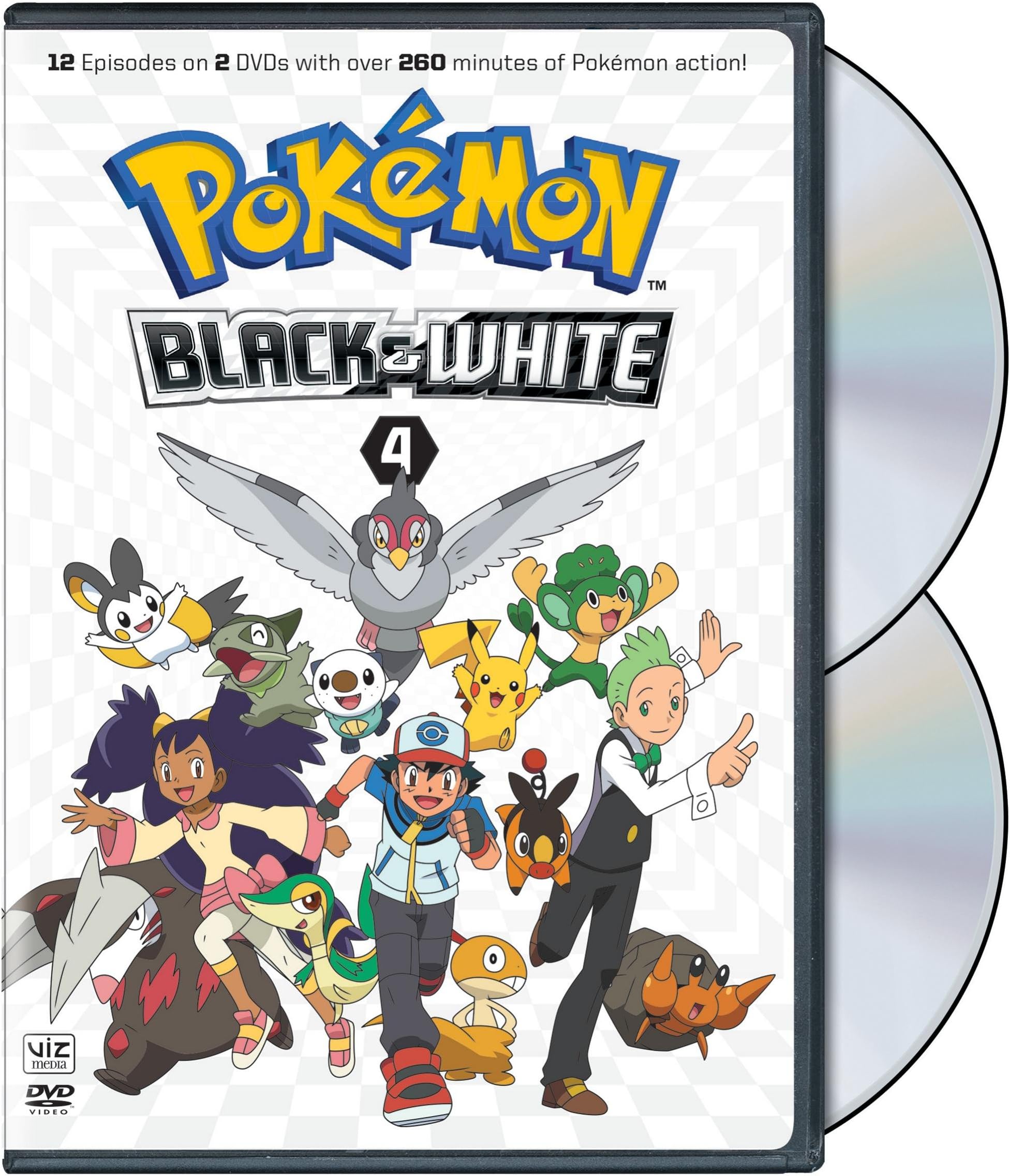 Pokémon Black & White 4