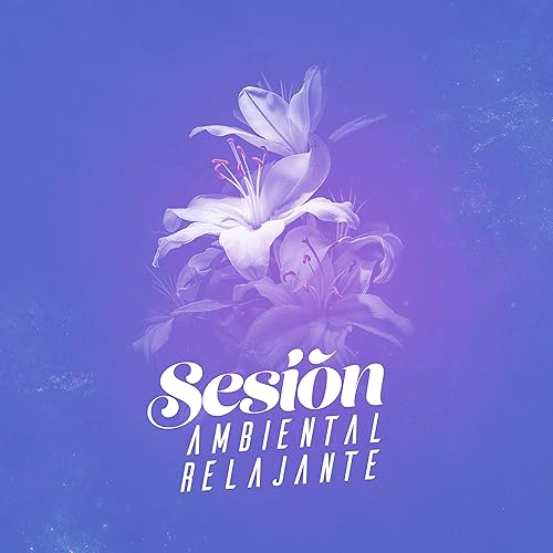 Amazon.com: Estera de Yoga: Musica Relajante: MP3 Downloads