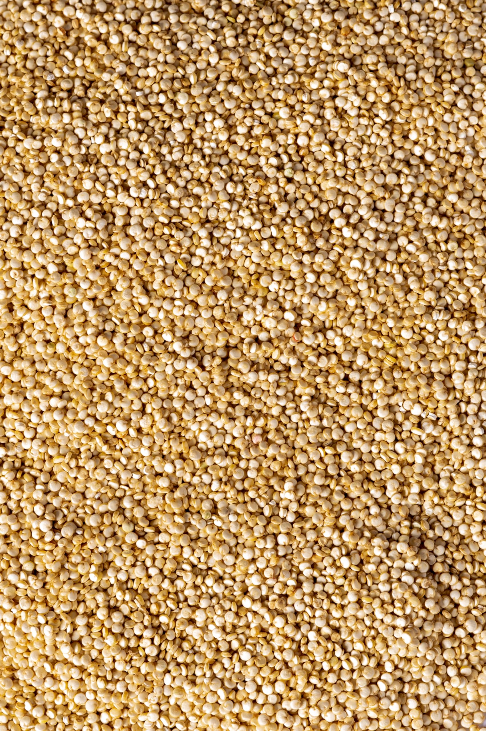 Biojoy Semillas de Quinoa Blanca BÍO (1 kg), crudas y enteras