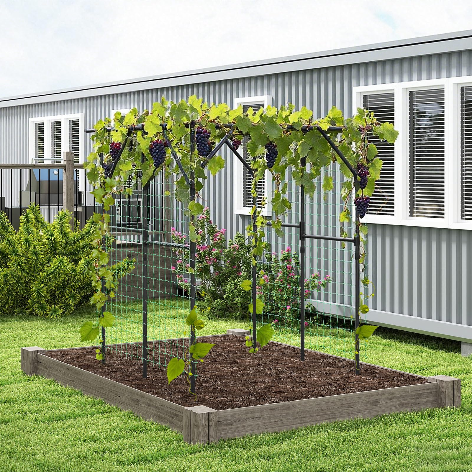 COSTWAY Komkommer-klimhulpset, instelbare breedte, klimrooster met net COSTWAY Komkommer-klimhulpset, instelbare breedte, klimrooster met net