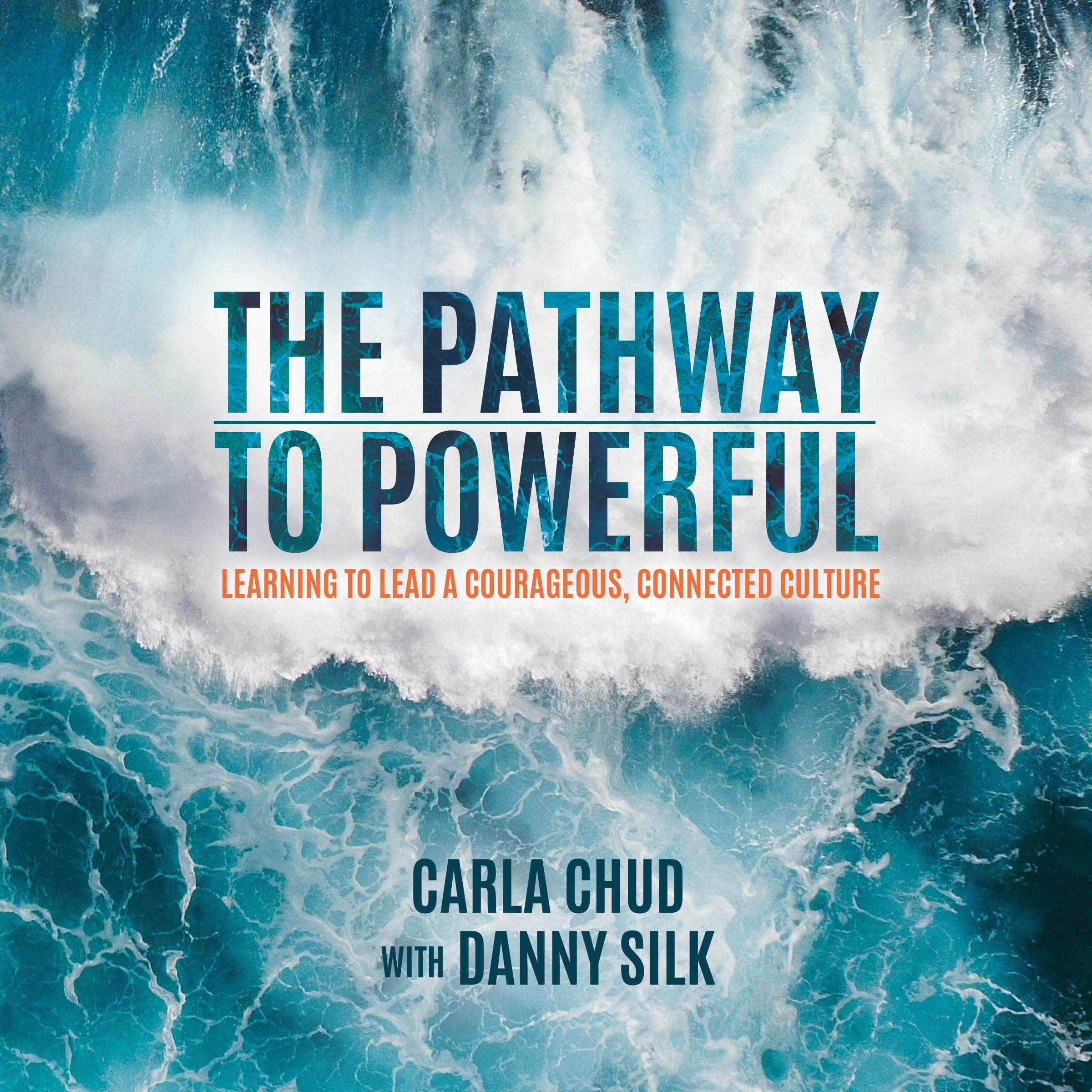 Cover art for The Pathway to Powerful: Learning to Lead a Courageous, Connected Culture