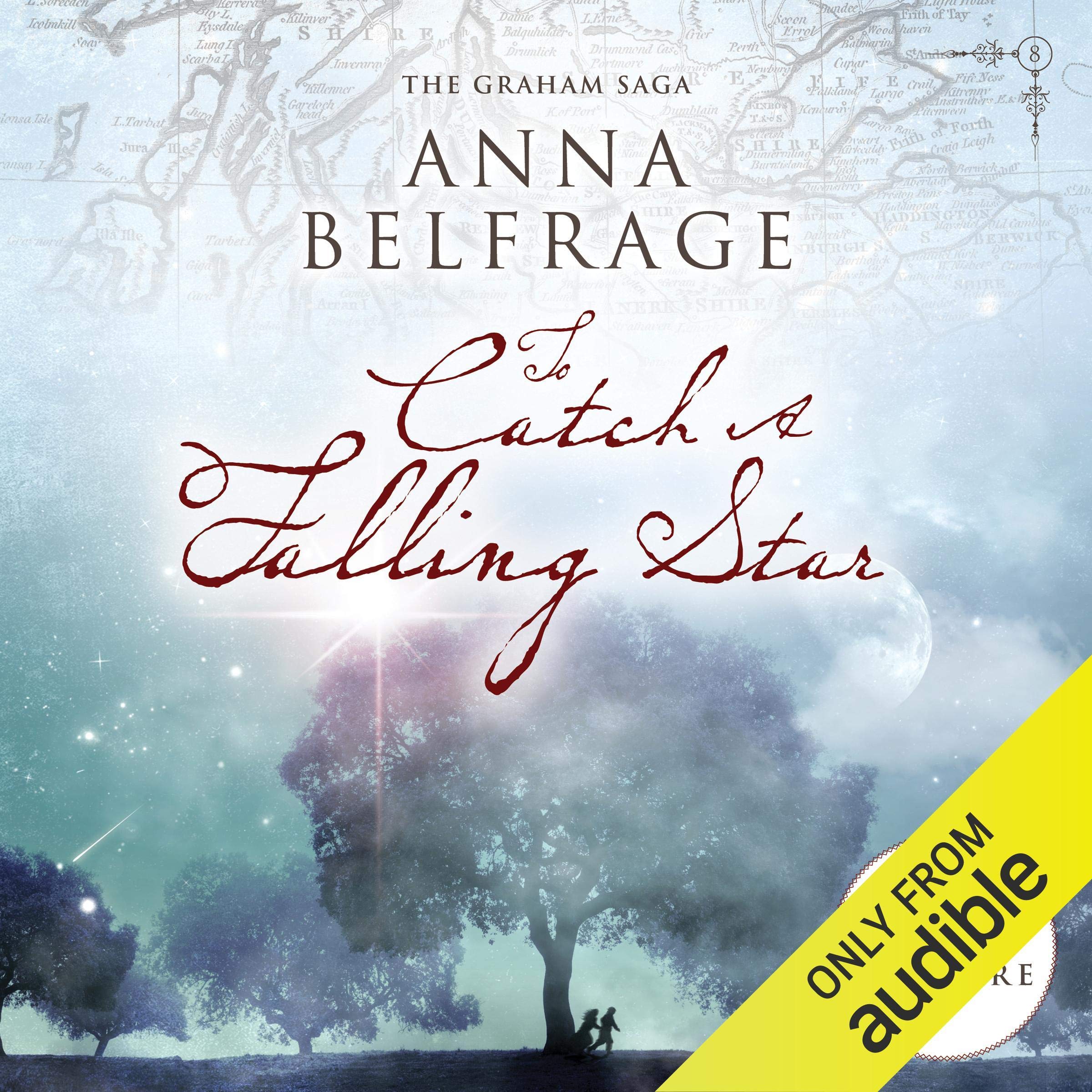 Cover art for To Catch a Falling Star