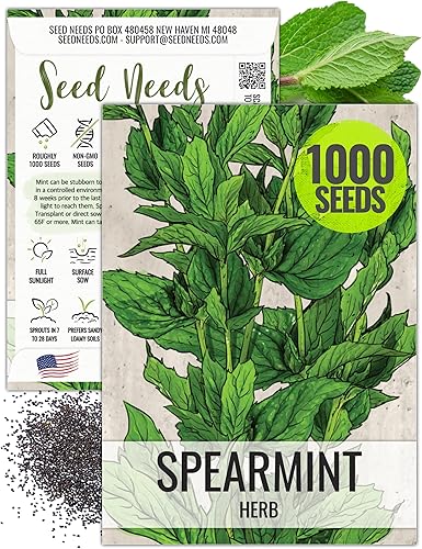 Miniatura 9 de Seed Needs Hierba de menta verde Mentha spicata Twin Pack de 1000 semillas cada una sin OGM