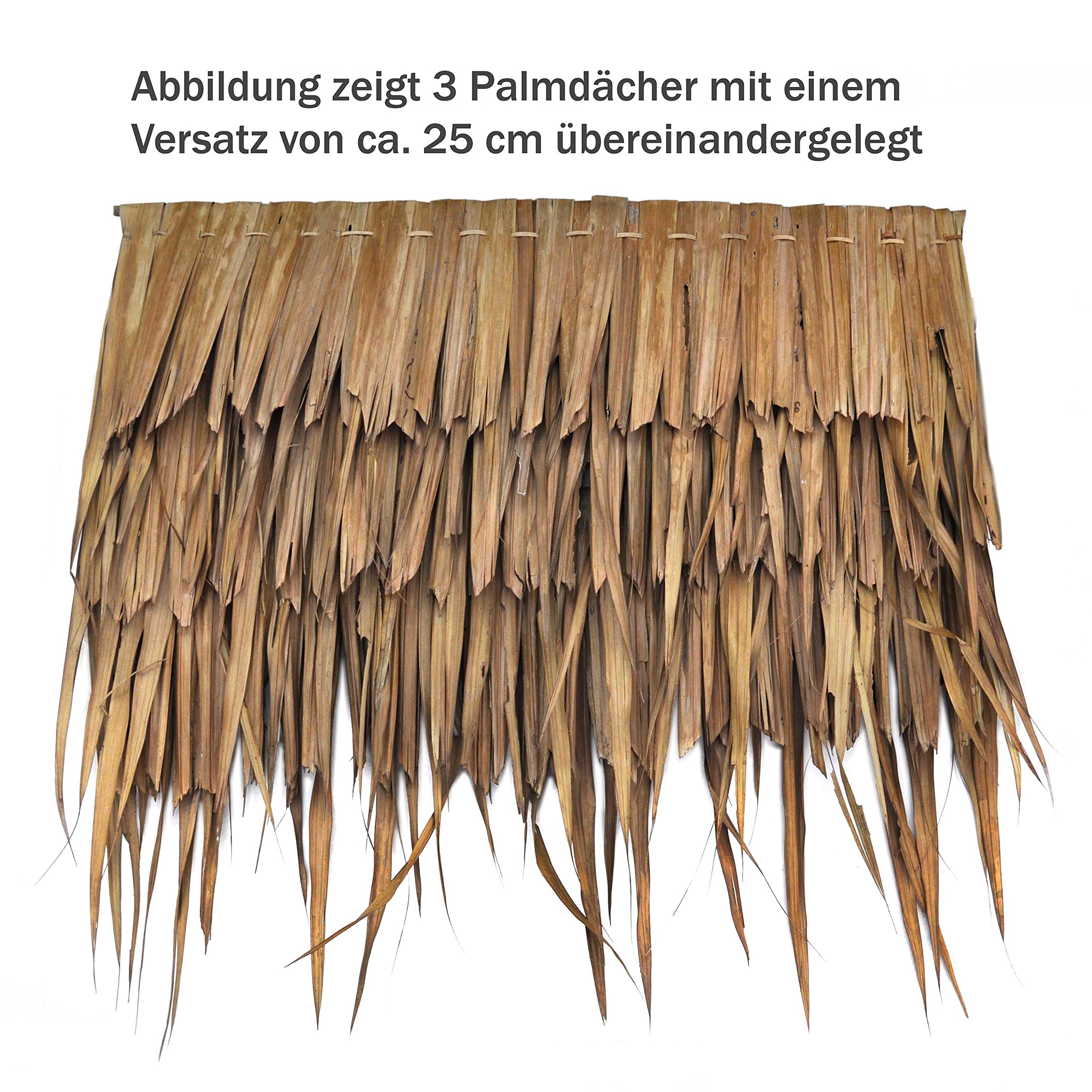 Palmdach Paneele Palmschindel Palmenblätter | Nachhaltiges Naturmaterial | Wetterfest Regendicht und Langlebig | Innen- und Außenbereich | ca. 118-120 cm | 10 Stück