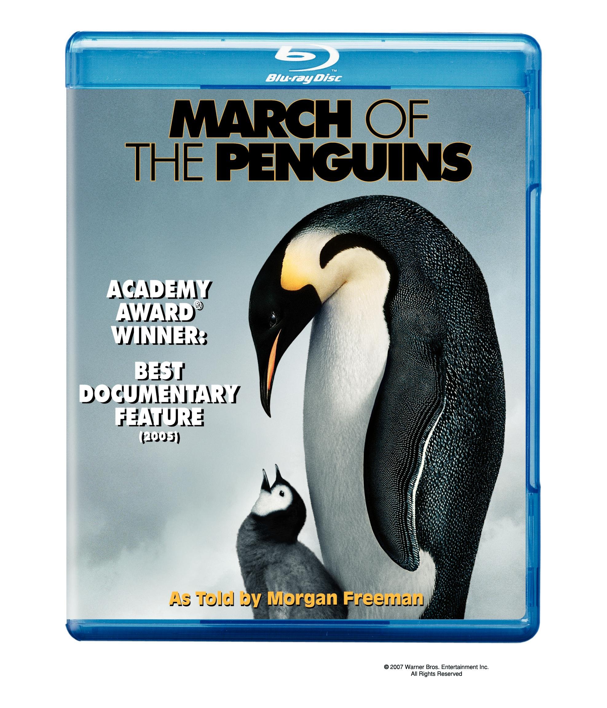 March of the Penguins [Blu-ray] [2005] [US Import]