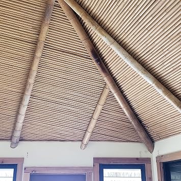 Forever Bamboo 90 L Solid Bamboo Poles for Structural Design and Weight-Bearing Support (6-Pack)