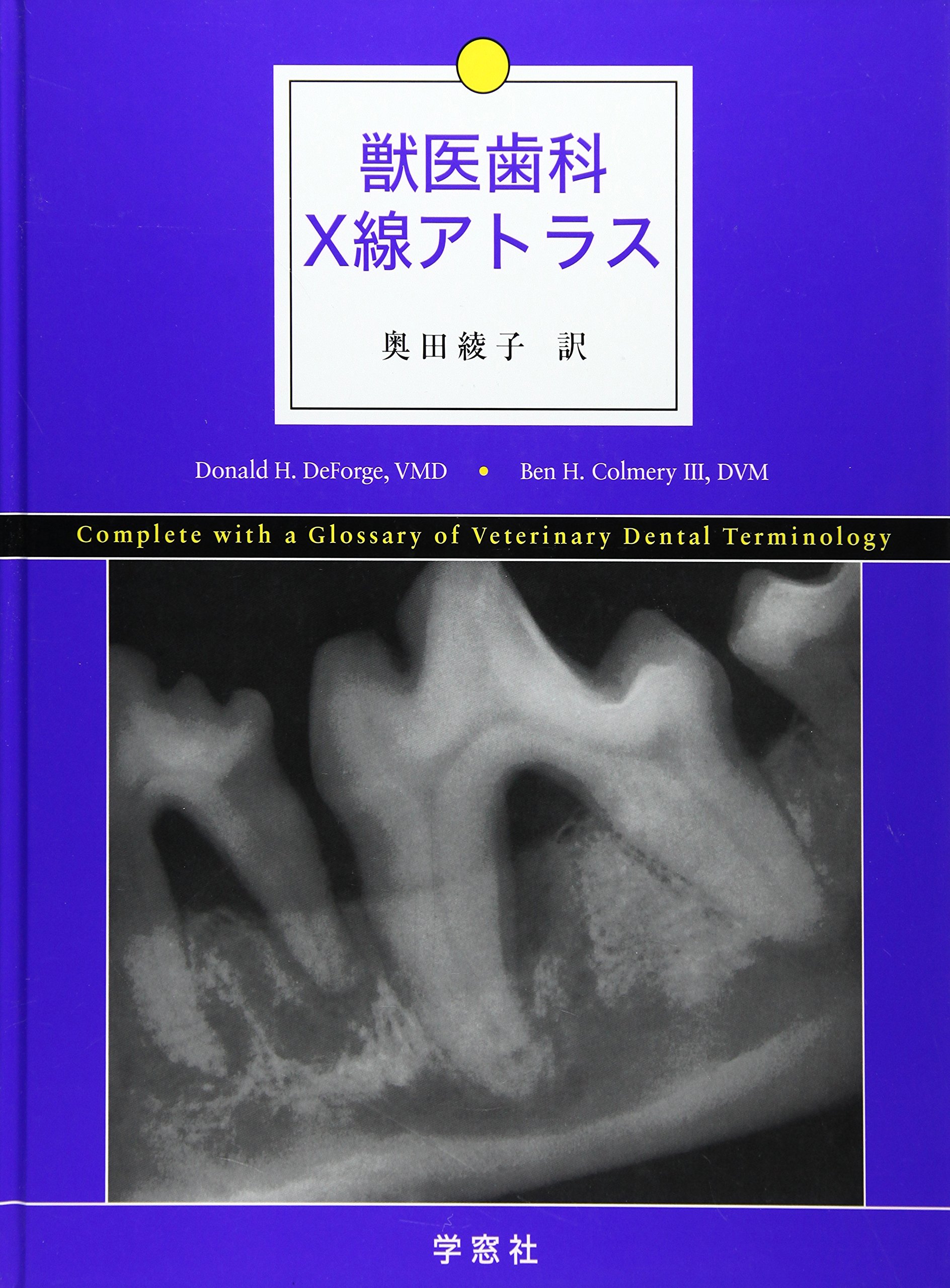 JuÌ„i shika Xsen atorasu