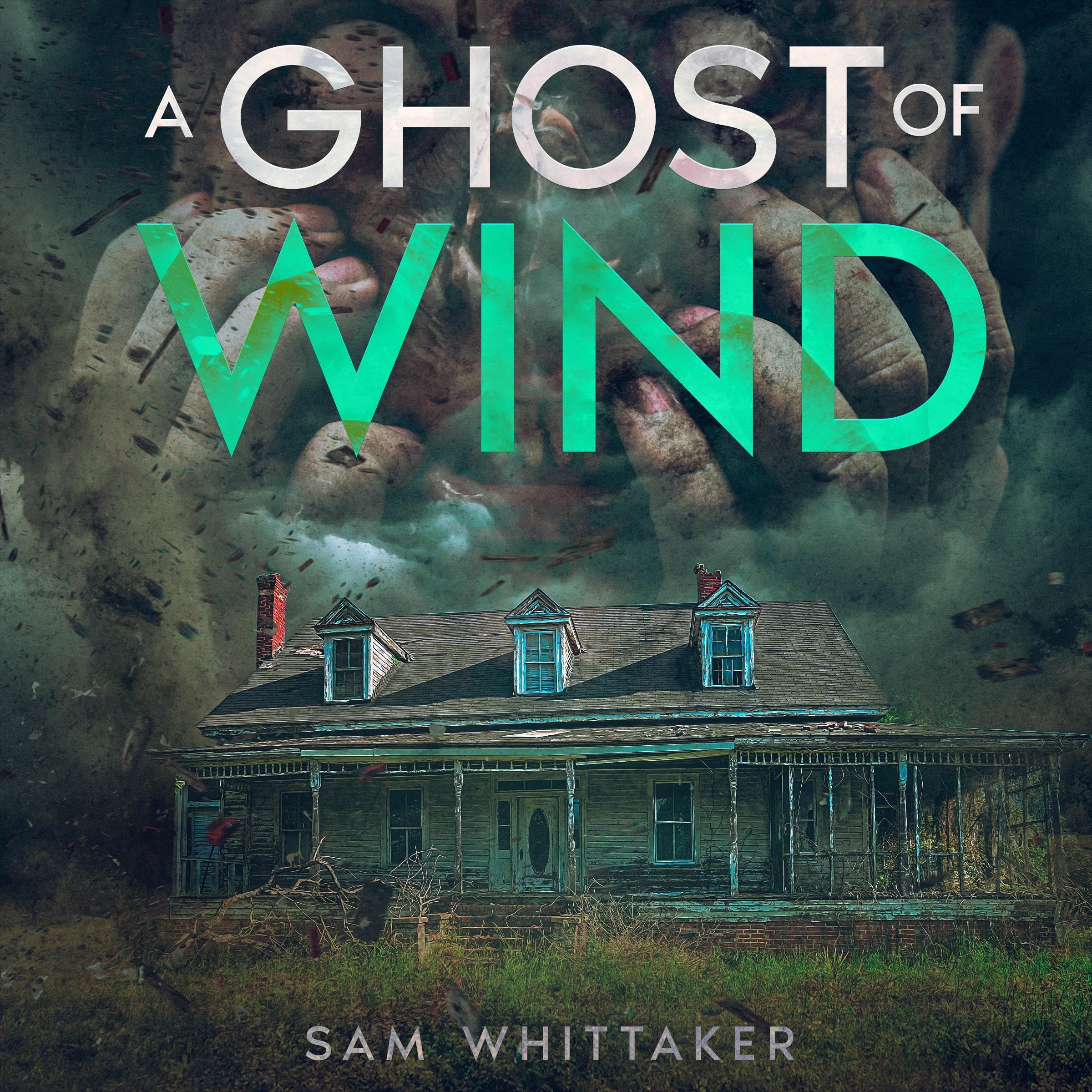 Cover art for A Ghost of Wind