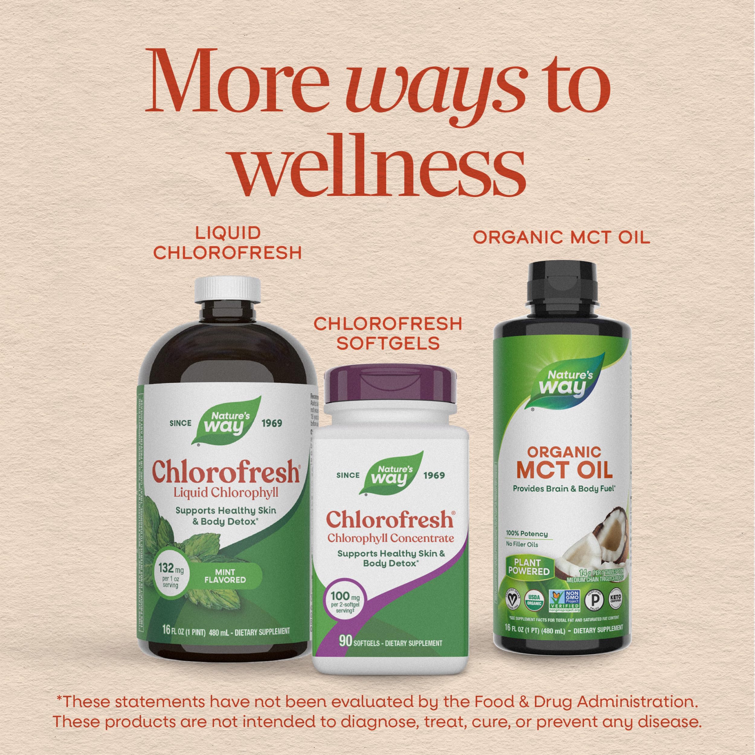 Nature's Way Complément alimentaire liquide Chlorofresh - Chlorophylle liquide - Déodorant interne - Goà »t naturel de menthe - 473 ml