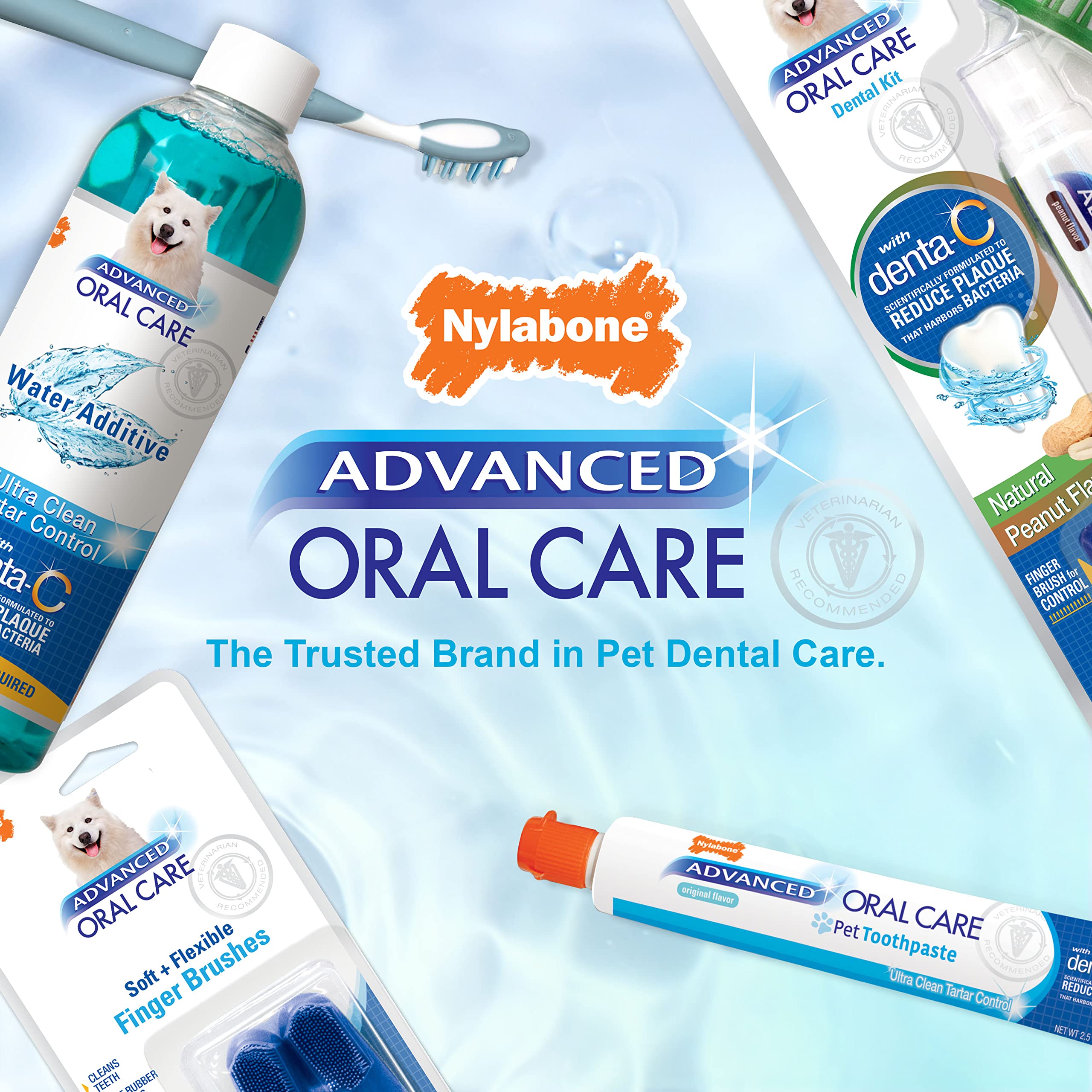 Nylabone Advanced Oral Care Kit Dentaire pour Chien Senior avec Brosse à Dents à Poils Doux et rembourrés 3 pièces