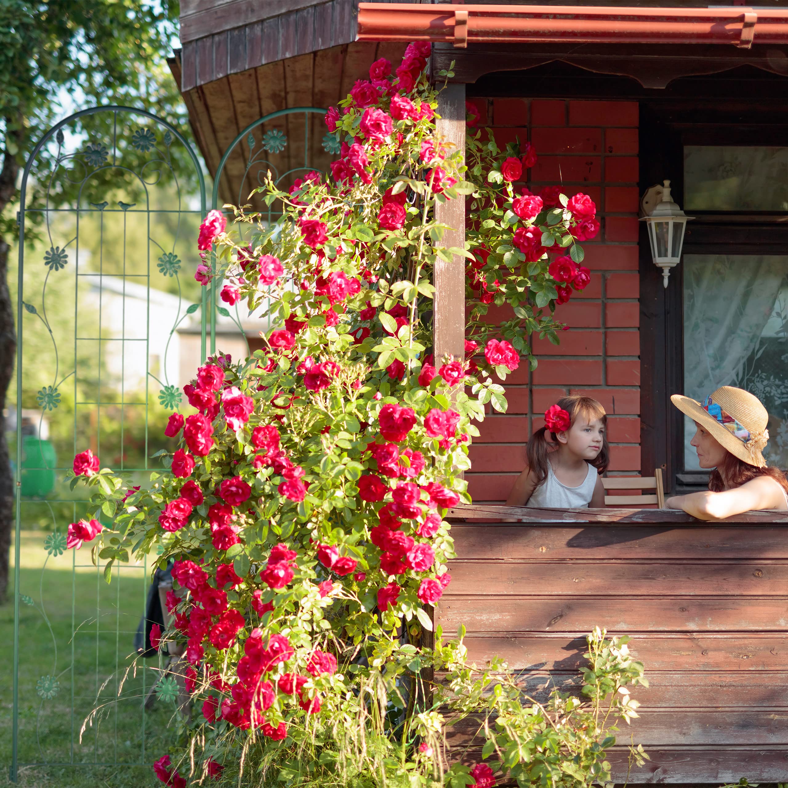 Groen Tuinrek Tuin Klimrek 200cm Relaxdays Plantenklimrek Set Van 2, Rankhulp, 180 X 50 Cm, In De Grond Steken, Ronde Boog En Bloem, Metaal, Donkergroen Klimplanten Steun Plantenklimrek Buiten Groen Tuinrek Tuin Klimrek 200cm Relaxdays Plantenklimrek Set Van 2, Rankhulp, 180 X 50 Cm, In De Grond Steken, Ronde Boog En Bloem, Metaal, Donkergroen Klimplanten Steun Plantenklimrek Buiten