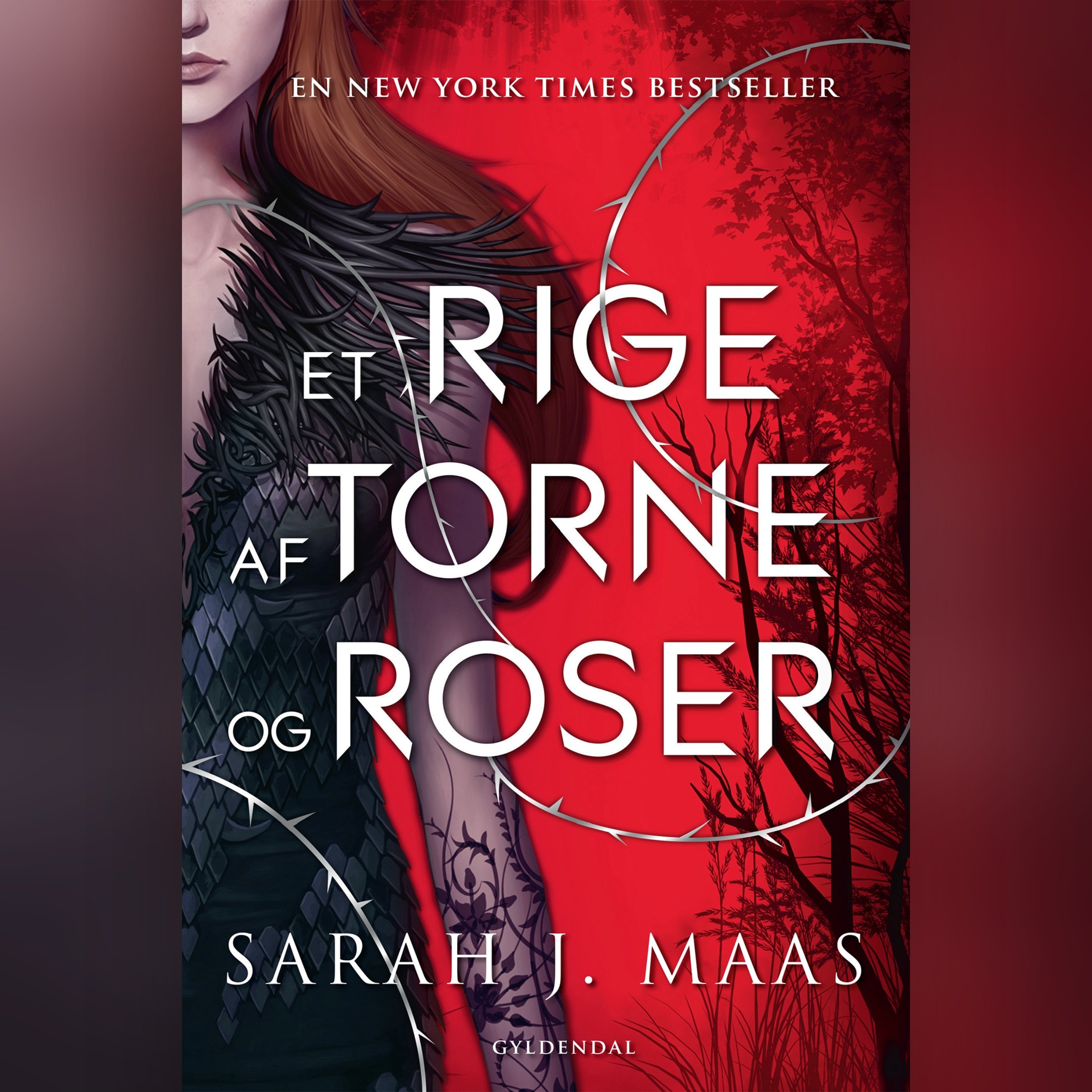 Cover art for Et rige af torne og roser
