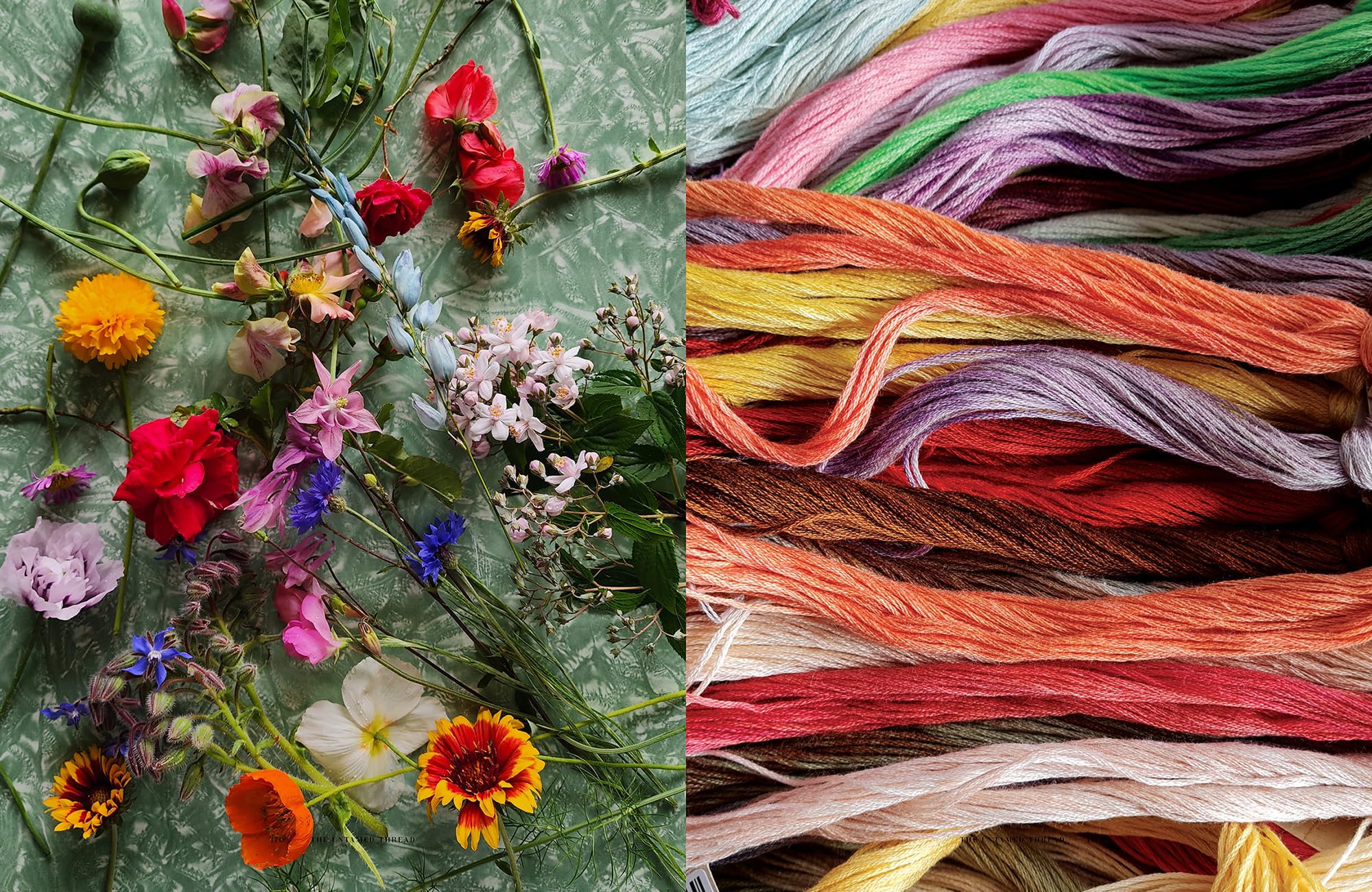 The Untamed Thread: Slow stitch to soothe the soul and ignite creativity