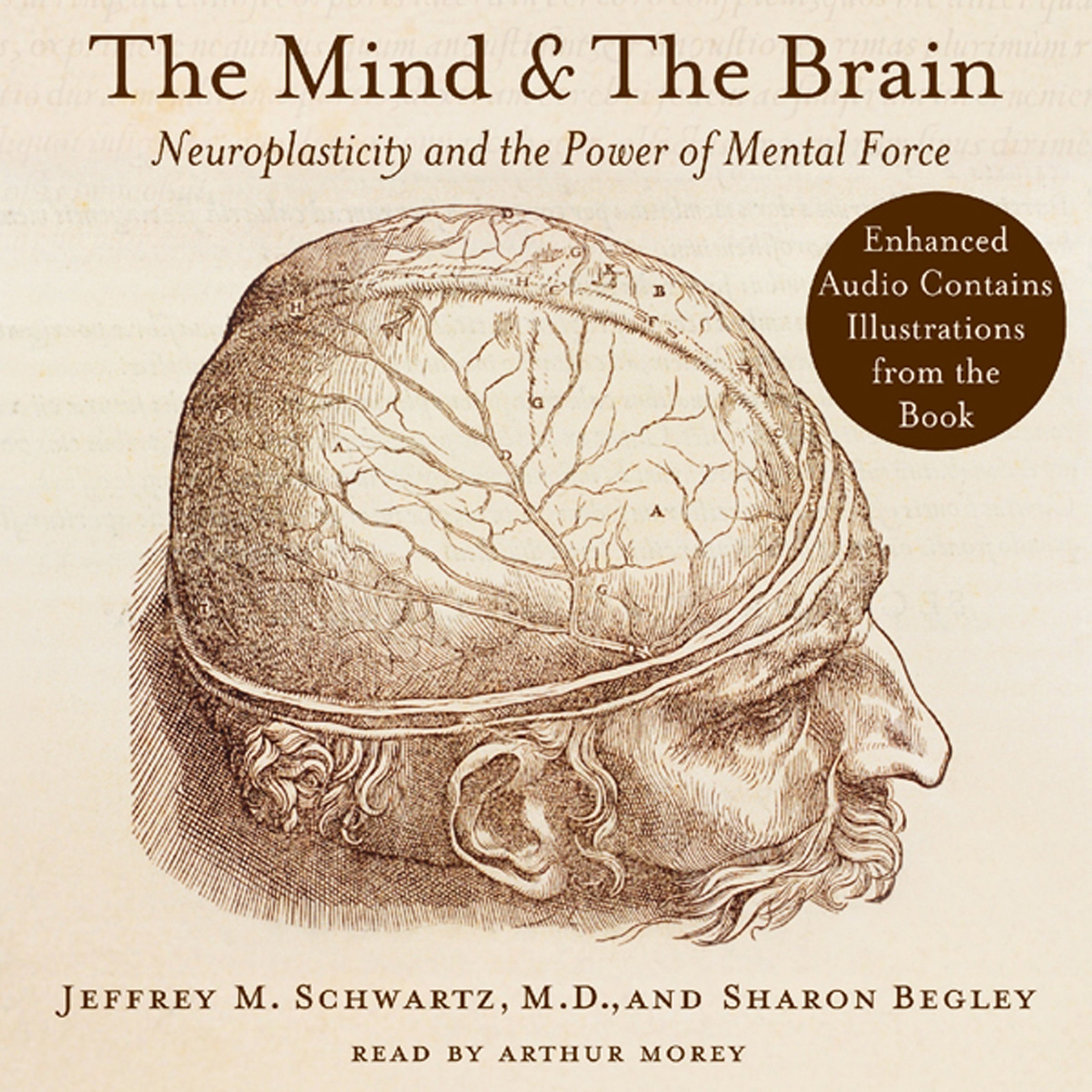Cover art for The Mind and the Brain
