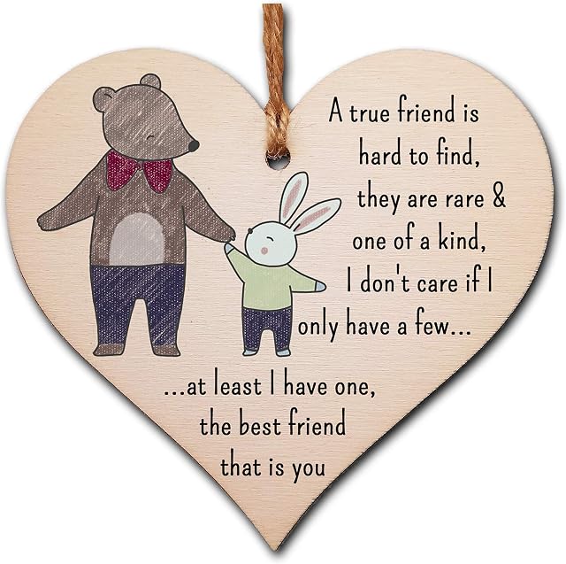 The Plum Penguin Handmade Wooden Hanging Heart Plaque Gift A true friend is hard to find best friend is you cute wall hanger card alternative for absent friends hand drawn design