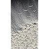 Product Photo 8
