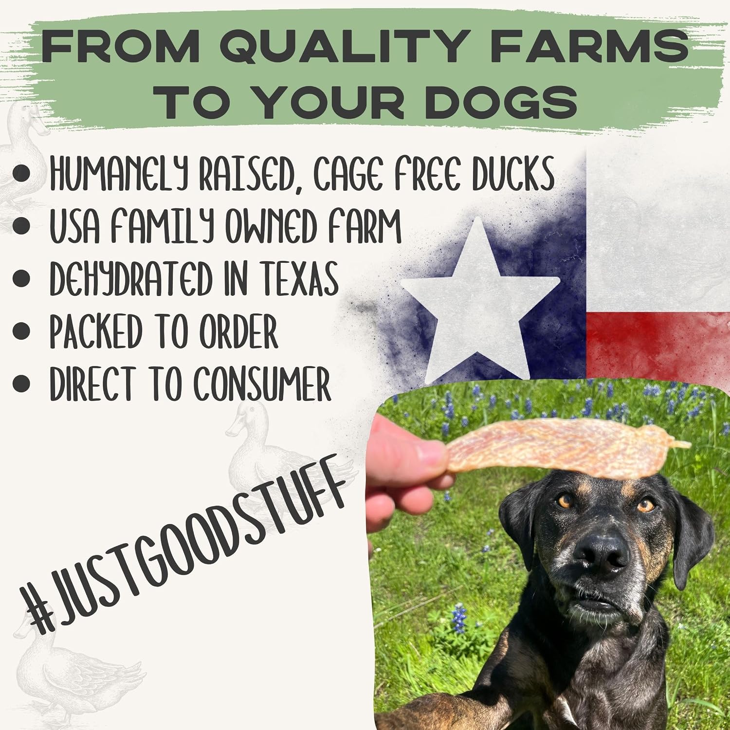 JACK'S PREMIUM Duck Jerky Dog Treats - Dehydrated Duck Made in The USA - All Natural Jerky for Small, Medium, and Large Dogs - Single Ingredient - Healthy (9 Ounces)