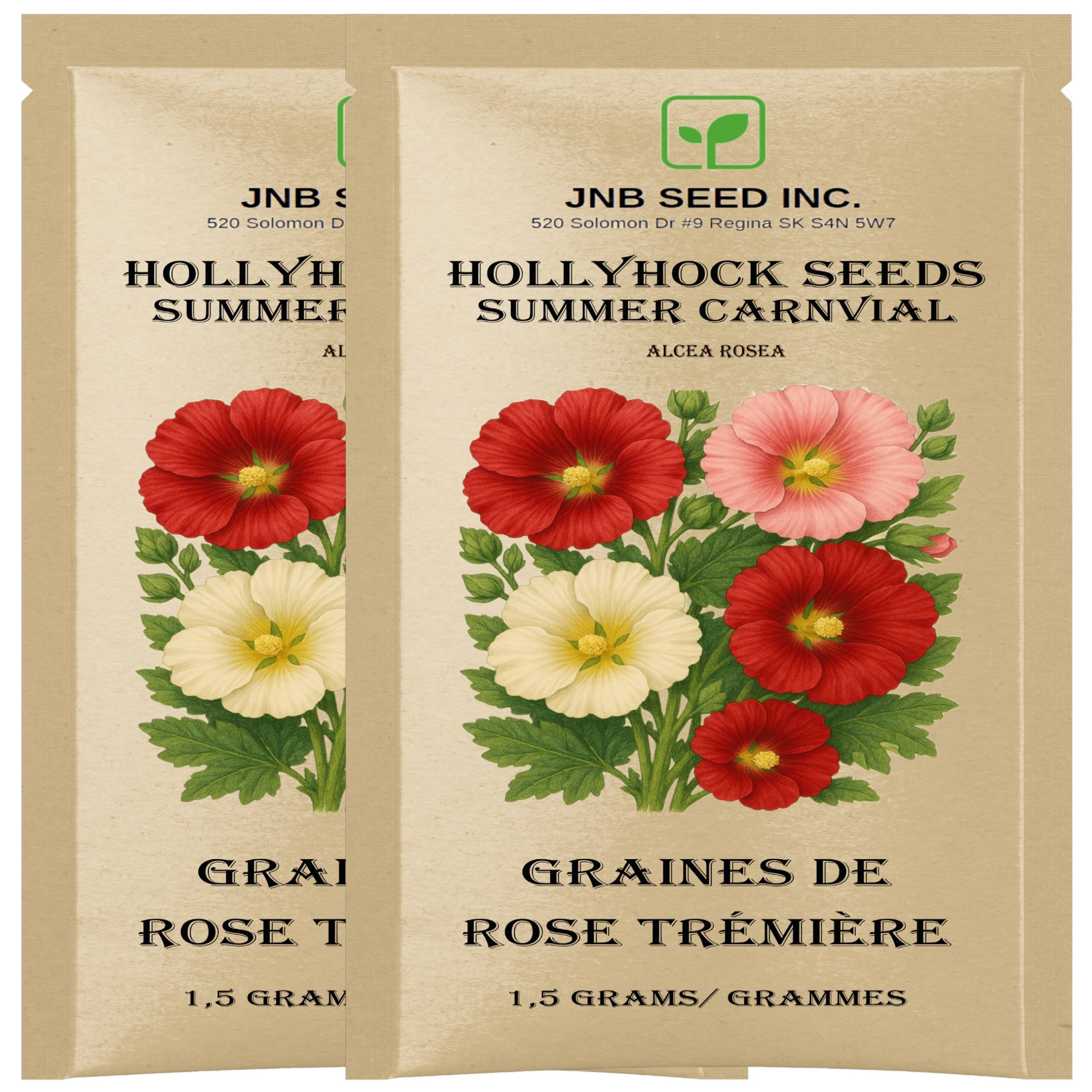 15 Graines Bio à Semer- Le Grenier D'Abondance - POIVRON CHOCO Bio