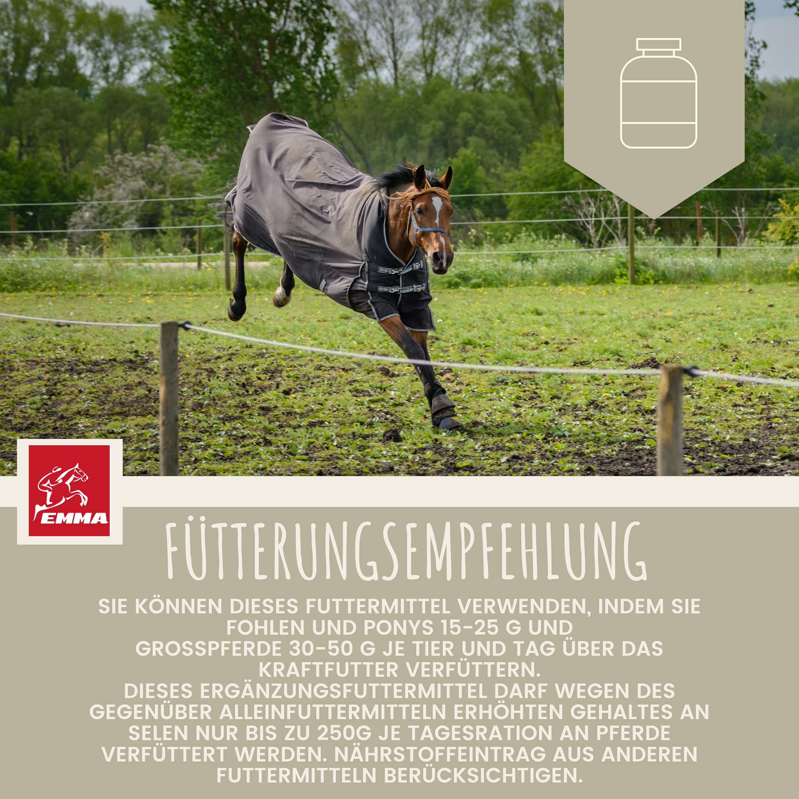 Buy EMMA® Horse supplements magnesium I Calmer for horses plus Vitamin