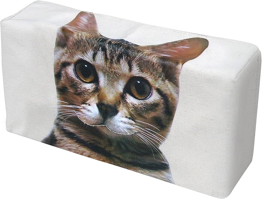 91-96edGEPL._AC_UF894,