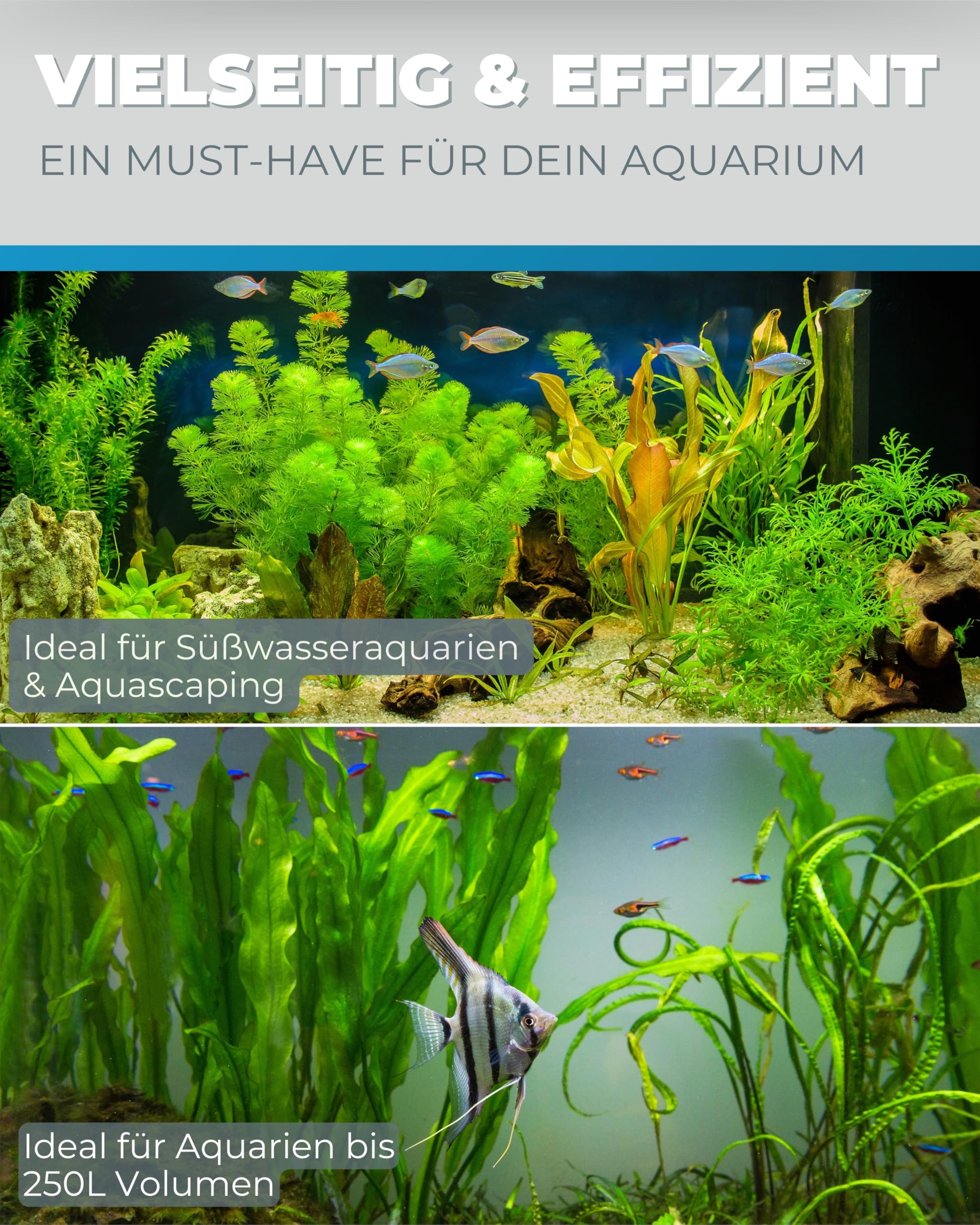 Dupla Profi CO2-Set 250 I Professionelles CO2-System für Aquarien bis 250 l I Präzise CO2-Anlage mit Armatur Pro, Zerstäuber, Dauertest, Silikonschlauch und Plant 24 Dünger