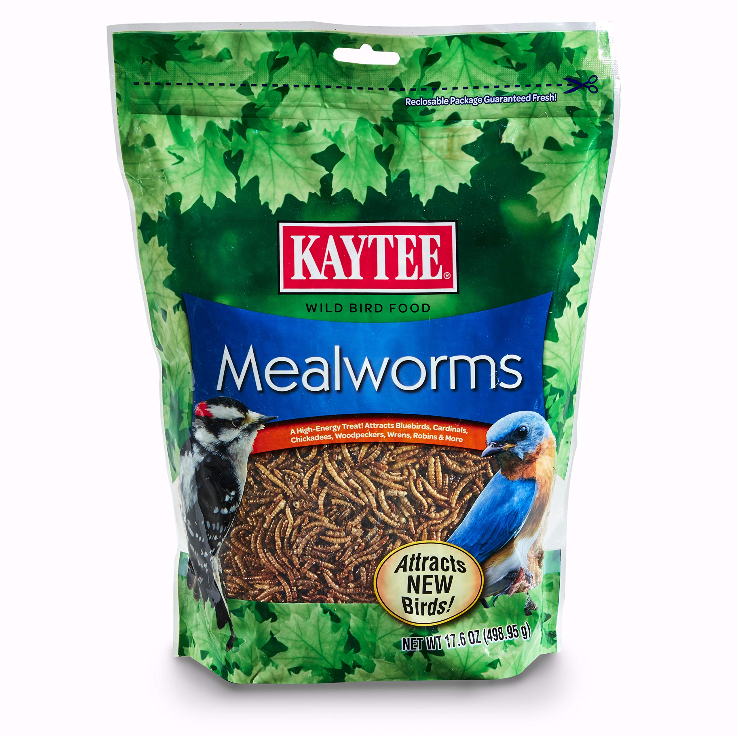 100505655 Mealworms, 17.6 oz, 17.6 Ounce