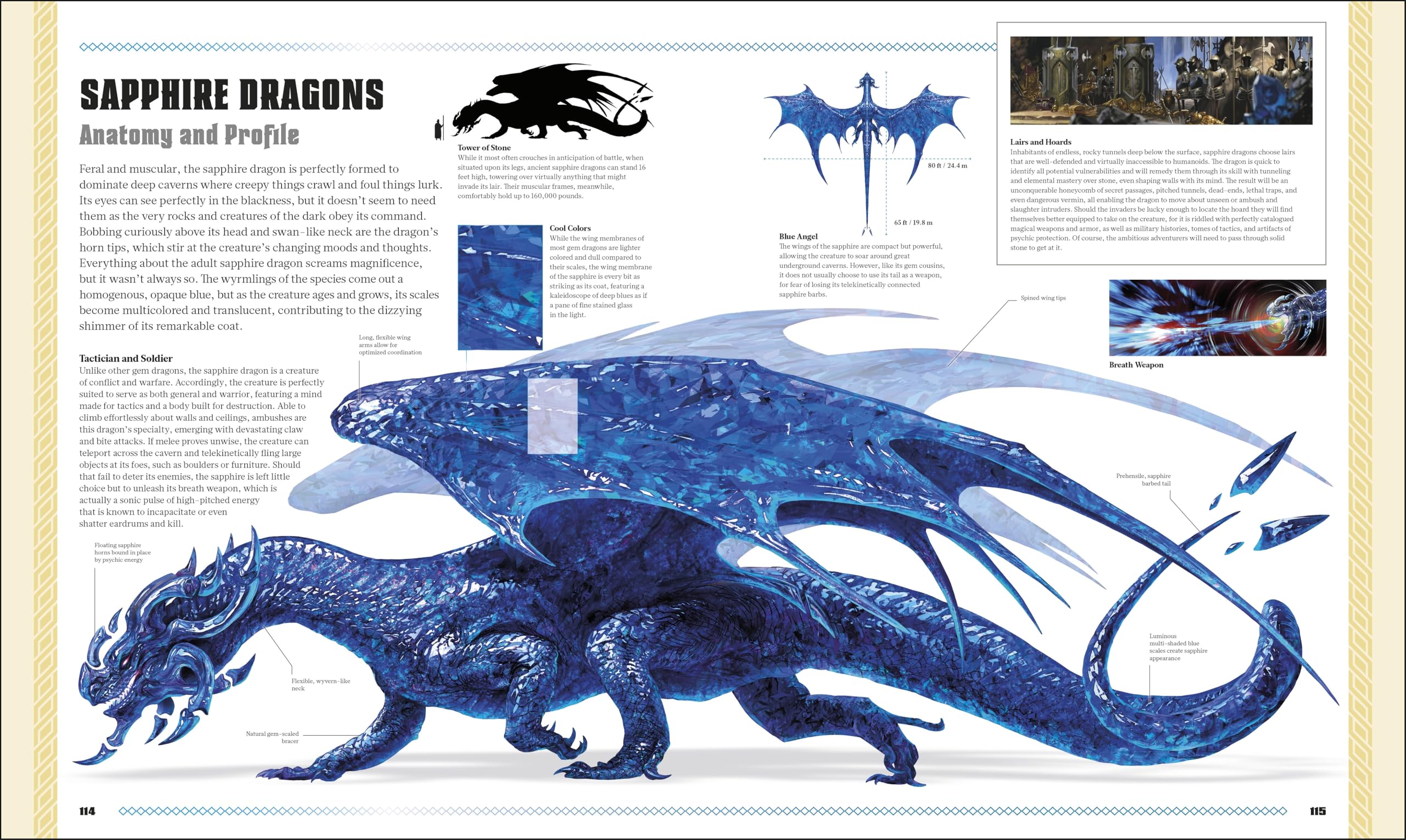 Dungeons & Dragons The Book of Dragons