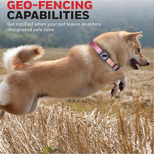 Miniatura 9 de Honeywell Rastreador de actividad para mascotas con GPS para perros, azul - Usa tu collar o incluye talla única, para todos los cuello, geo-cercado,